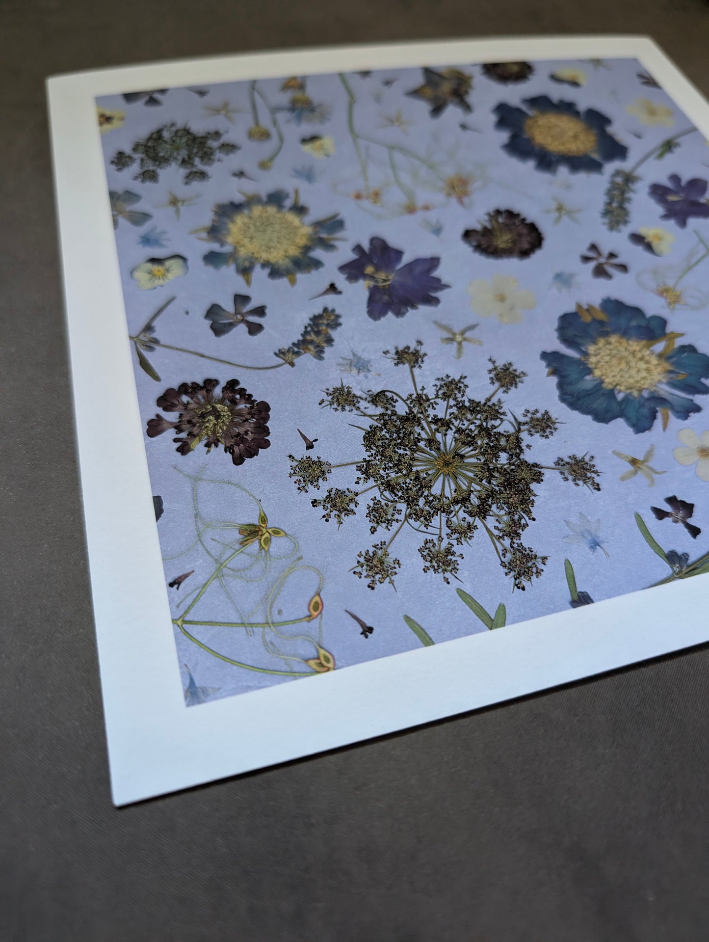 Into the Gloaming Giclee Print