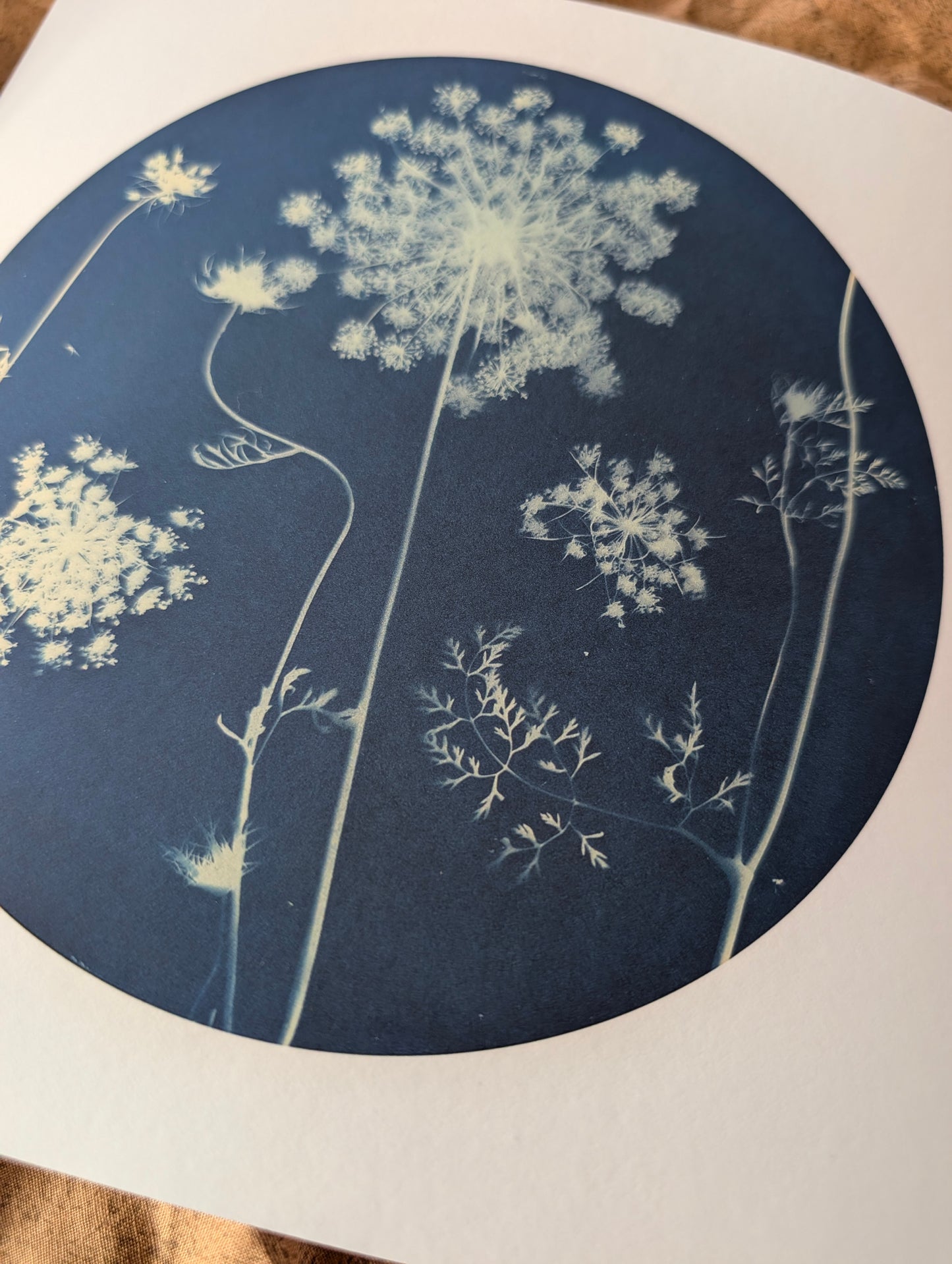 Pale Giclee Print