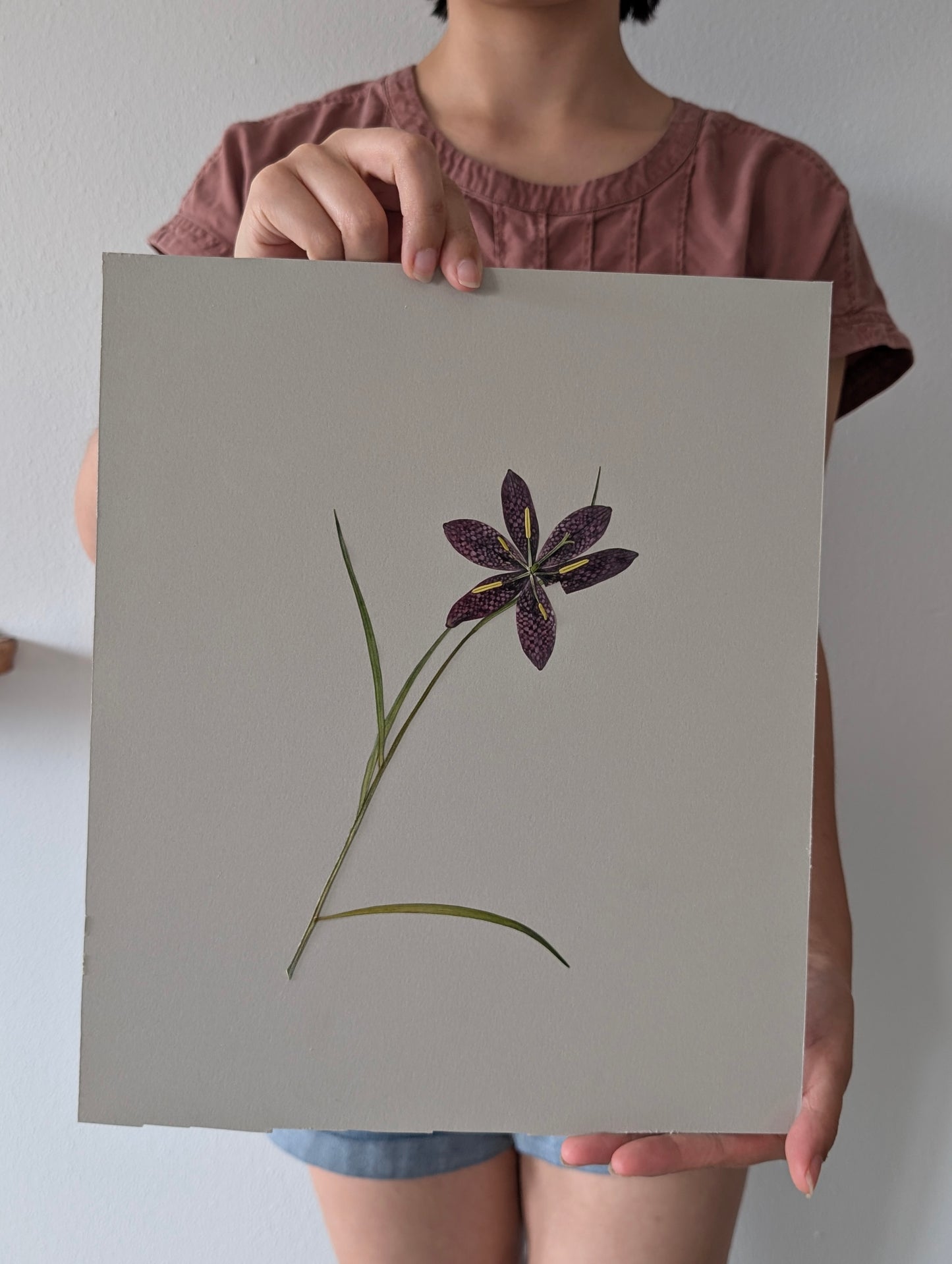 Snake's Head Fritillary