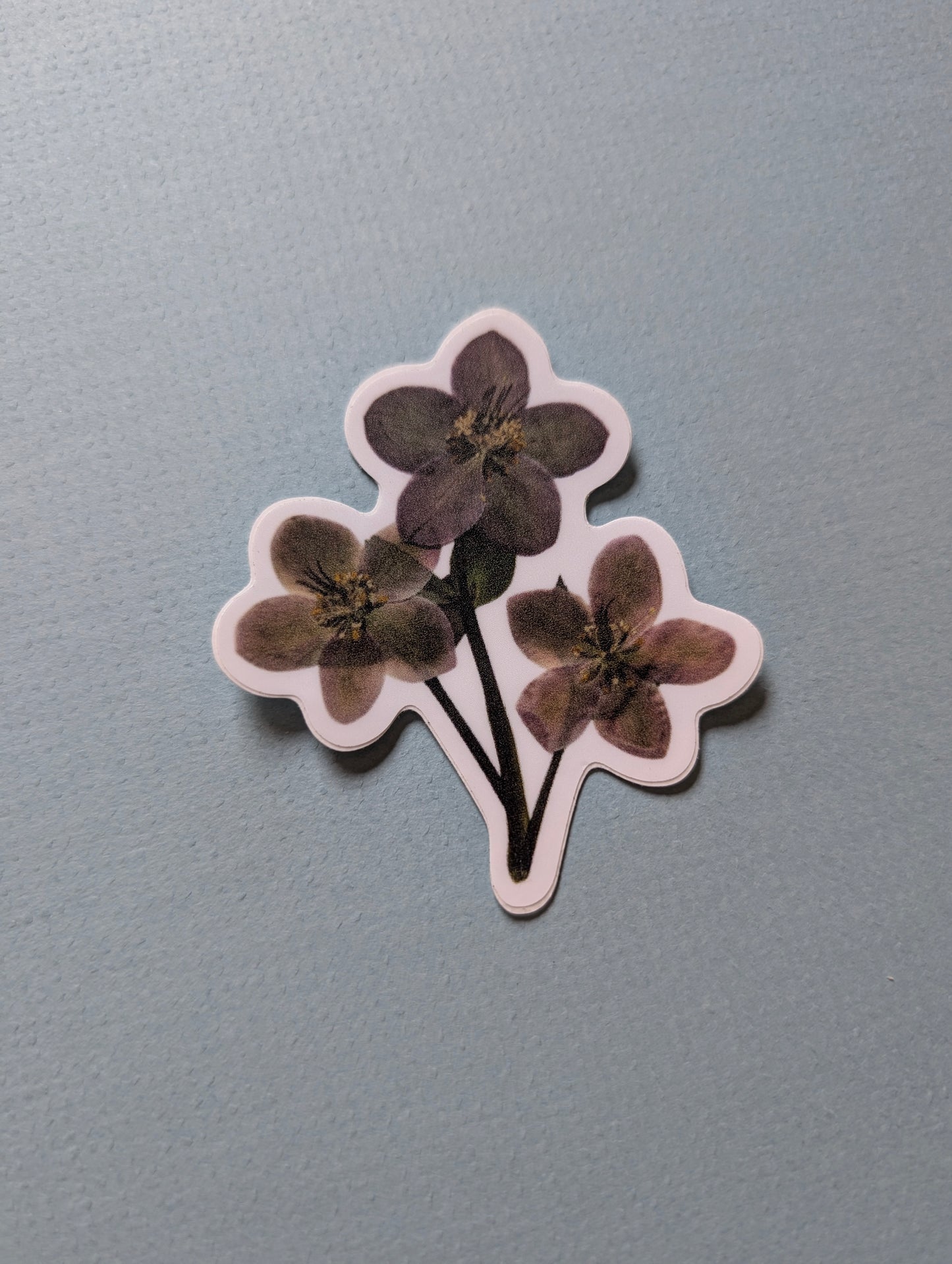 Pressed Flower Stickers