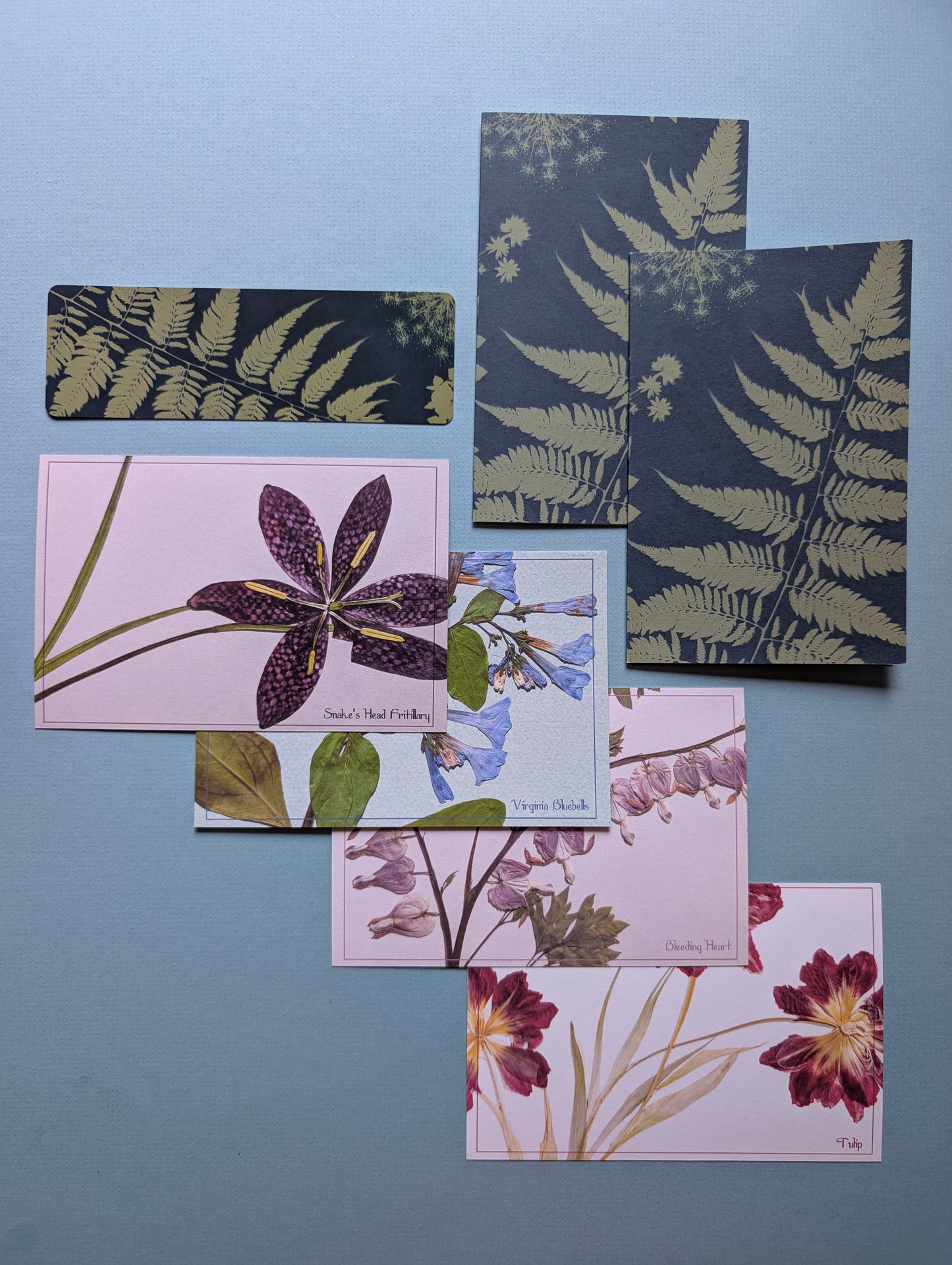 Herbarium Postcards