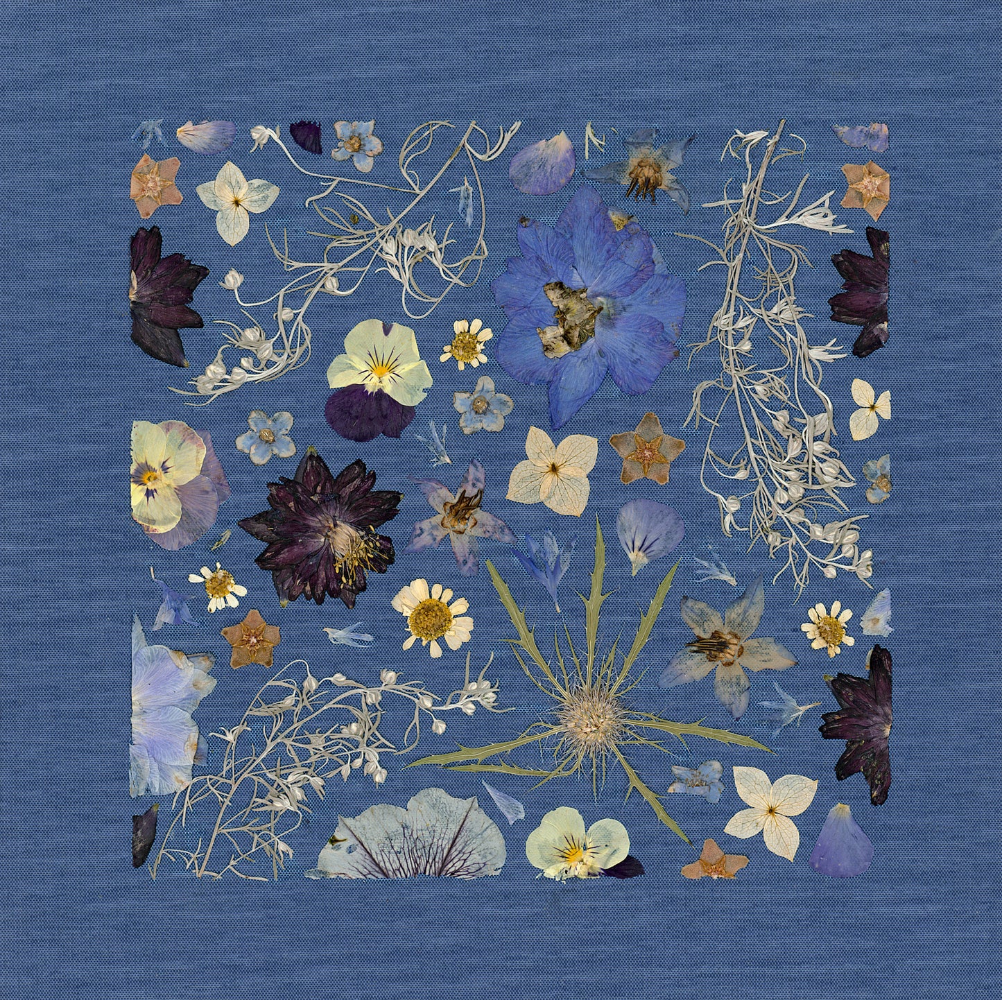 Celestial Soiree Giclee Print