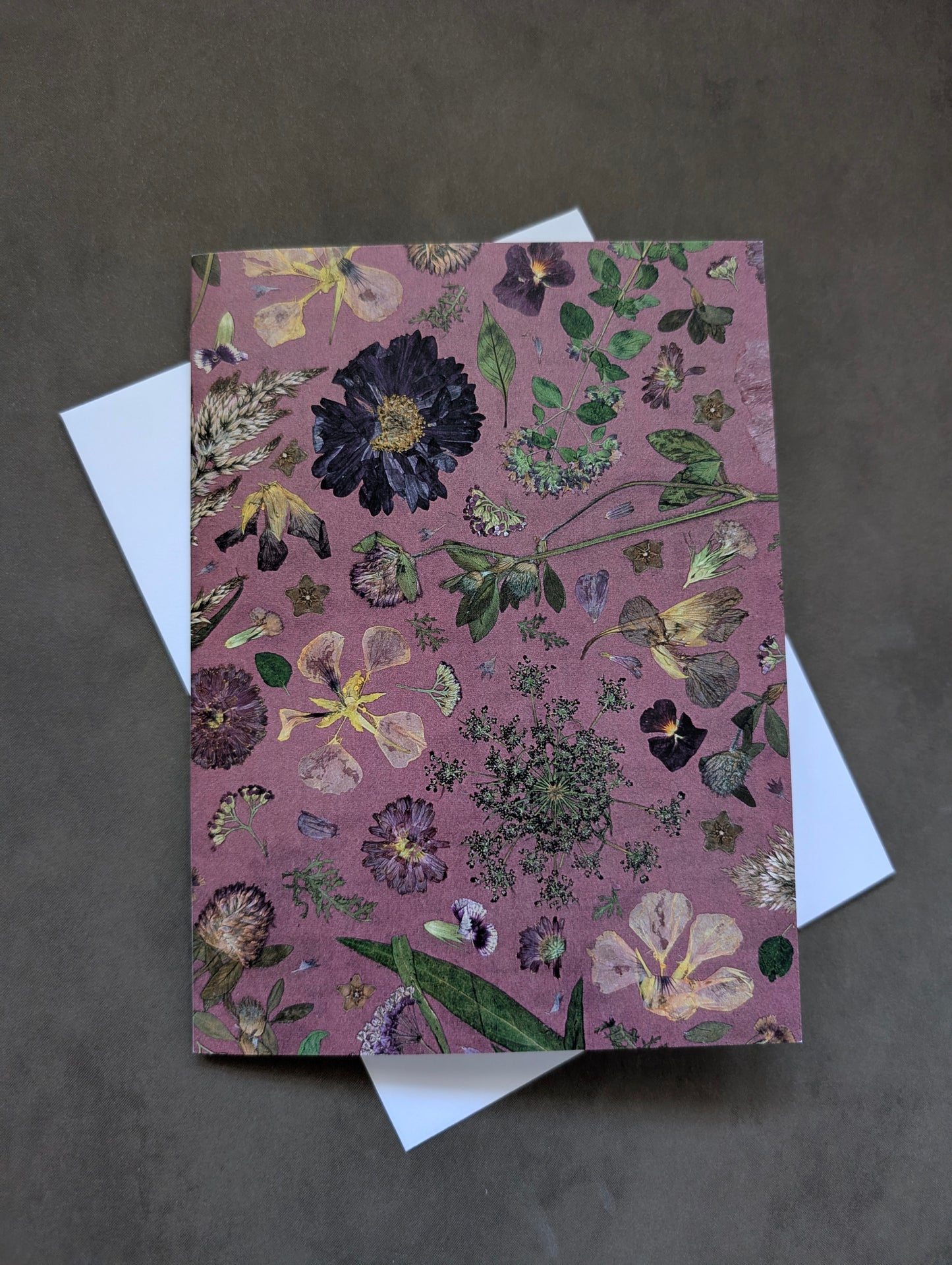 Prairie Nocturne Printed Card