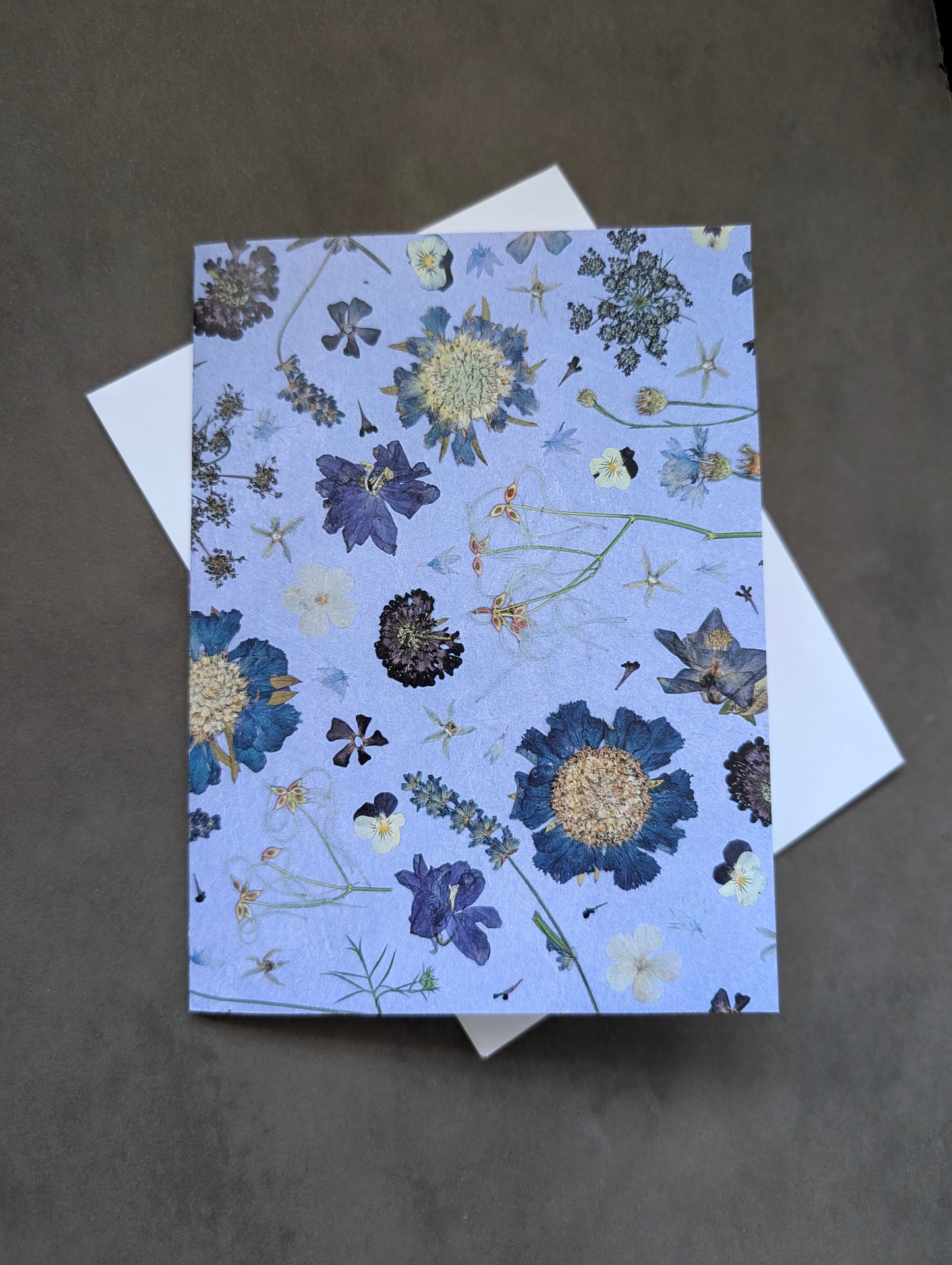 Into the Gloaming Printed Card