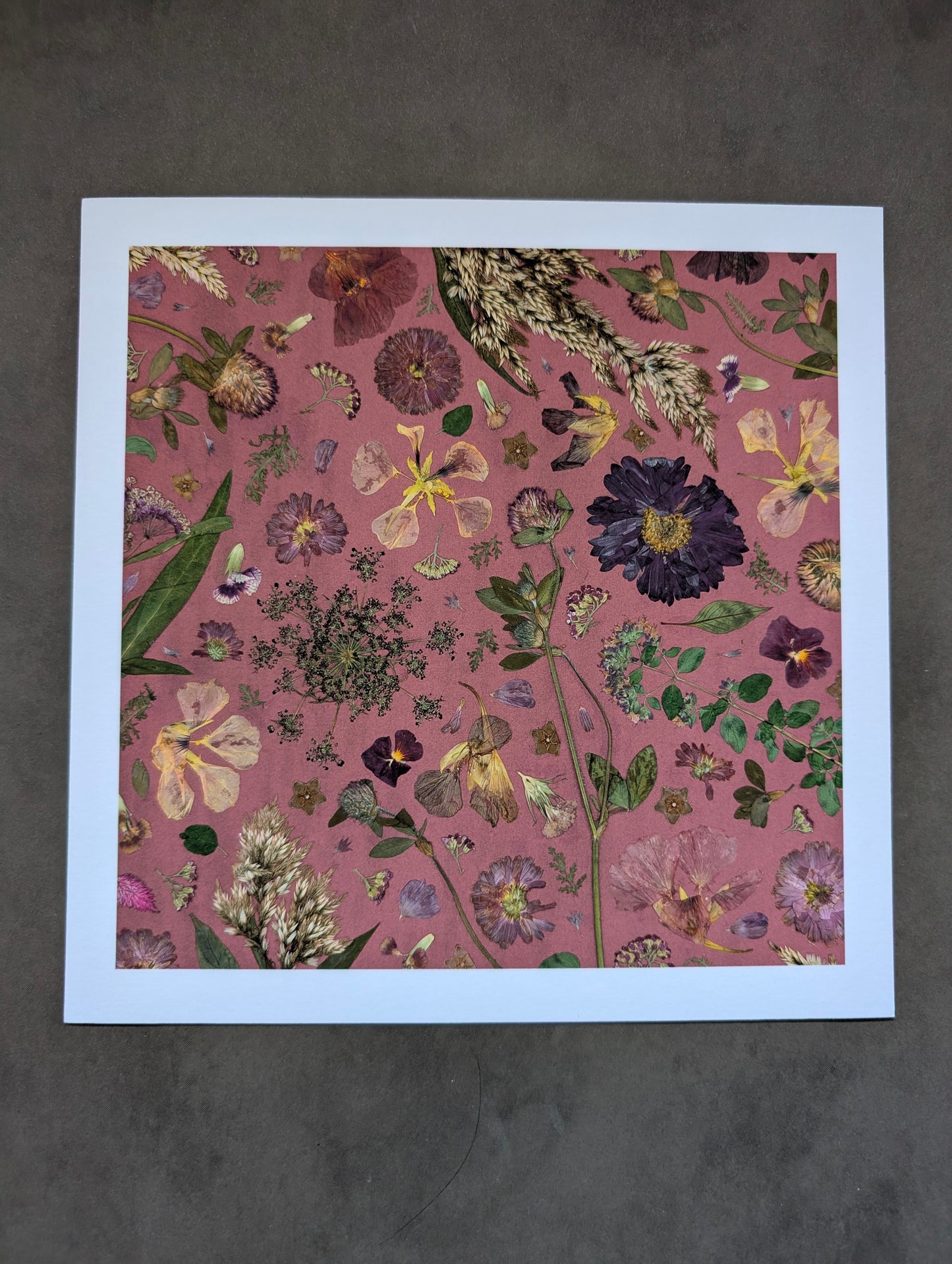 Prairie Nocturne Giclee Print
