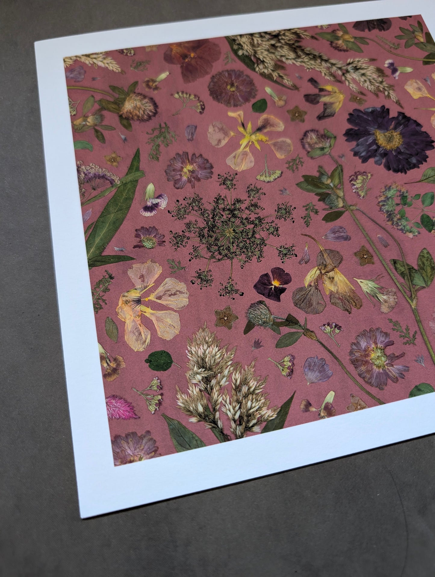 Prairie Nocturne Giclee Print