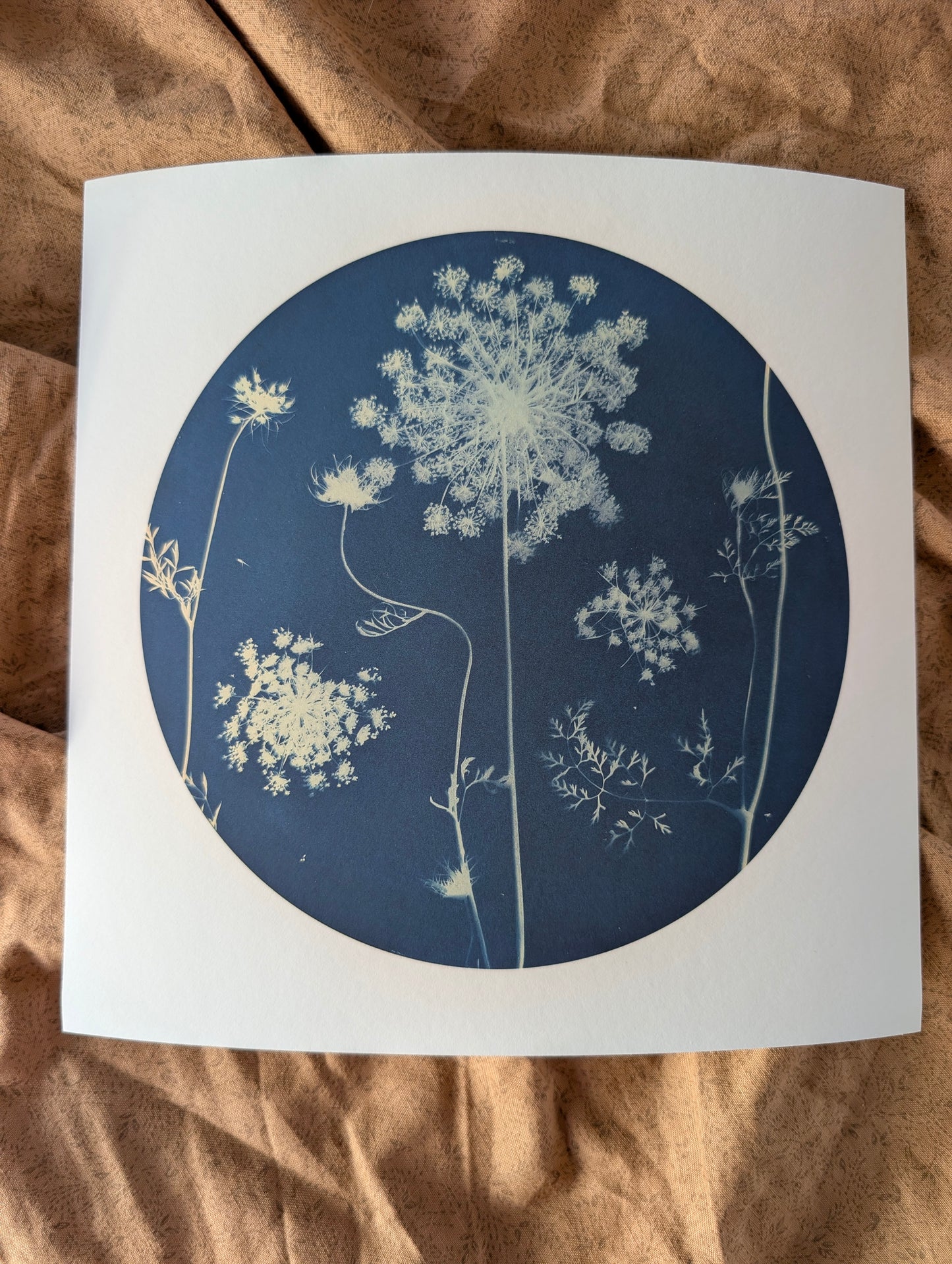 Pale Giclee Print