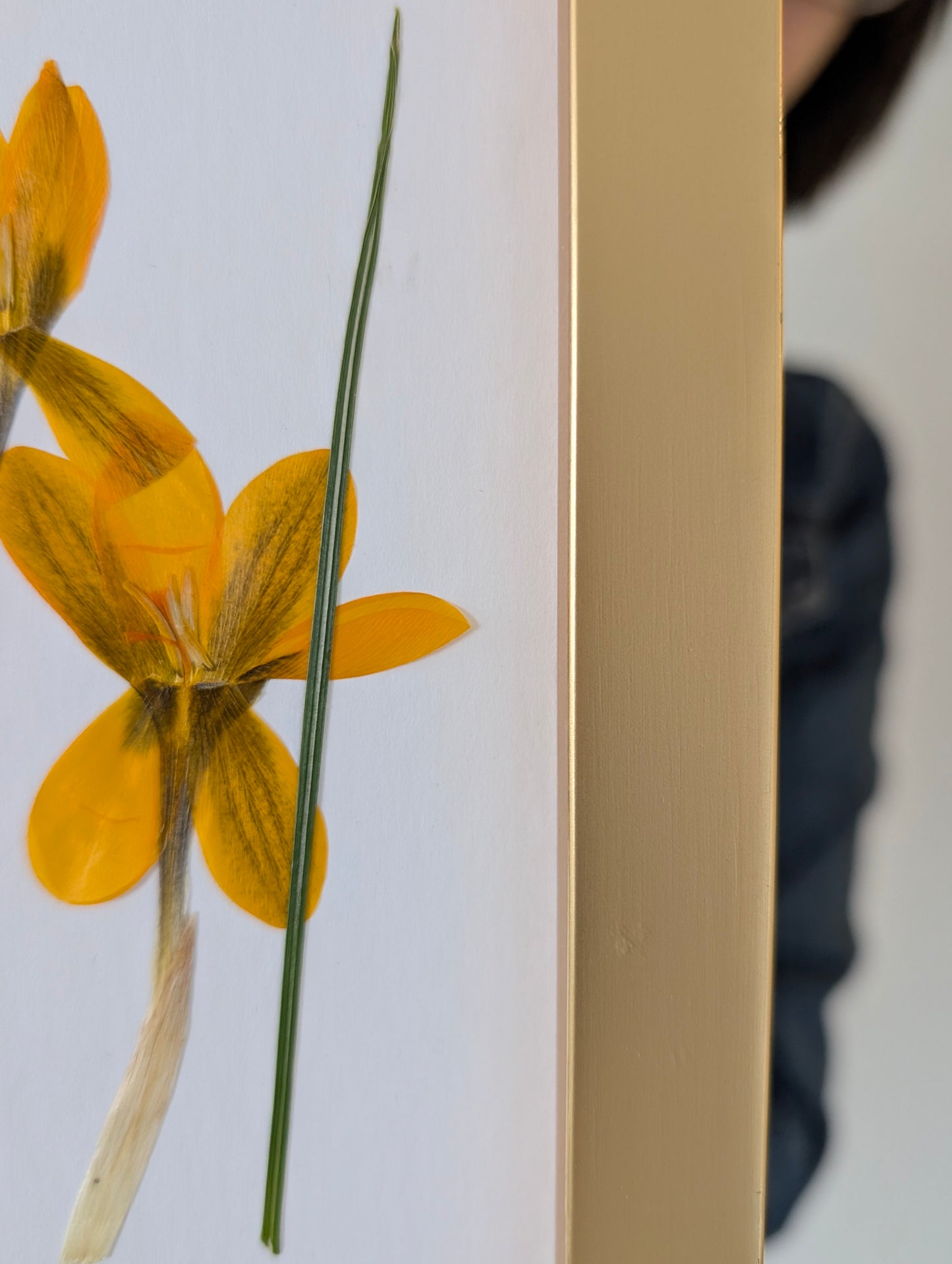 Crocus-scape: Original Pressed Flower Artwork