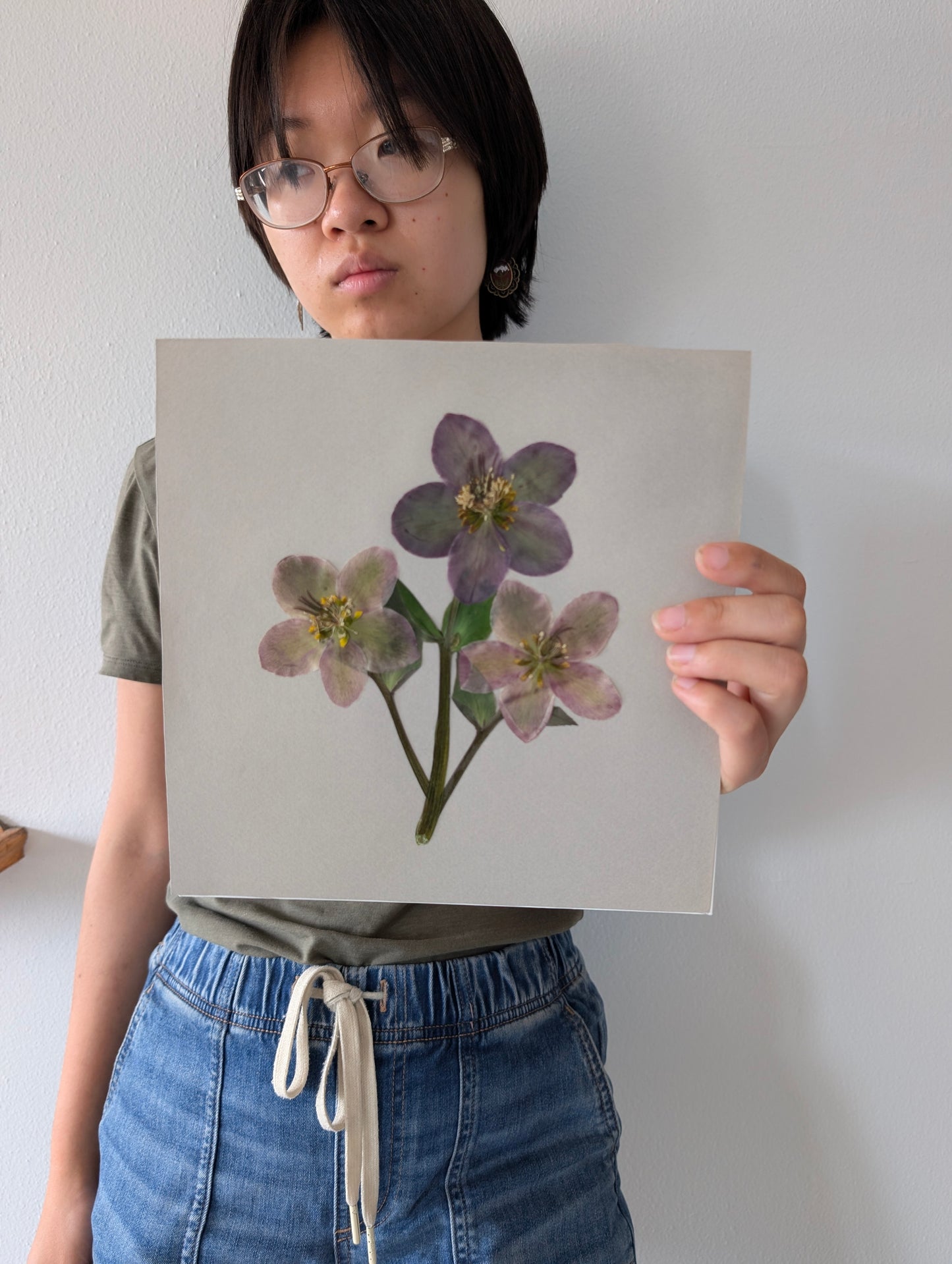 Hellebores