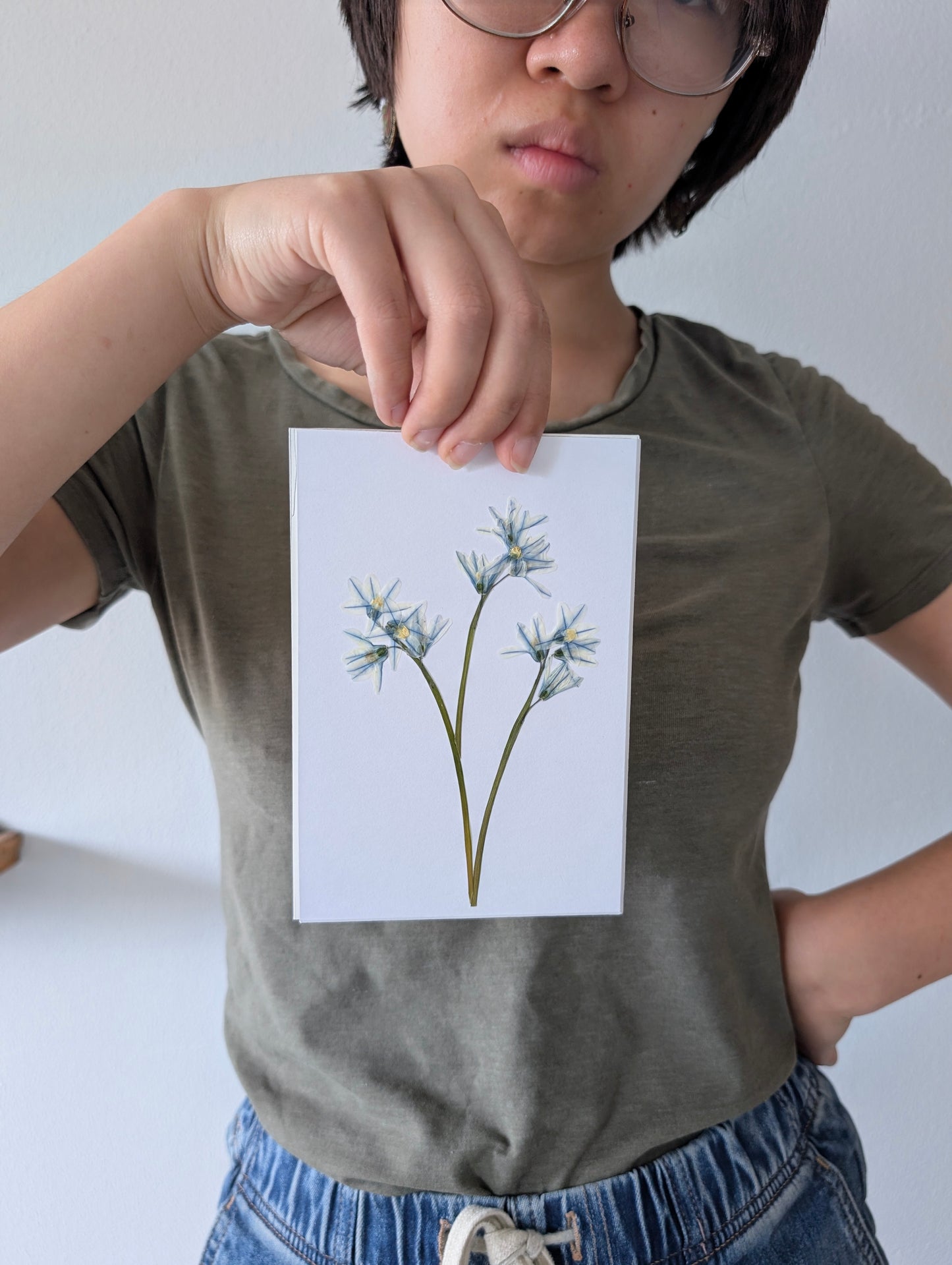 Striped Squill