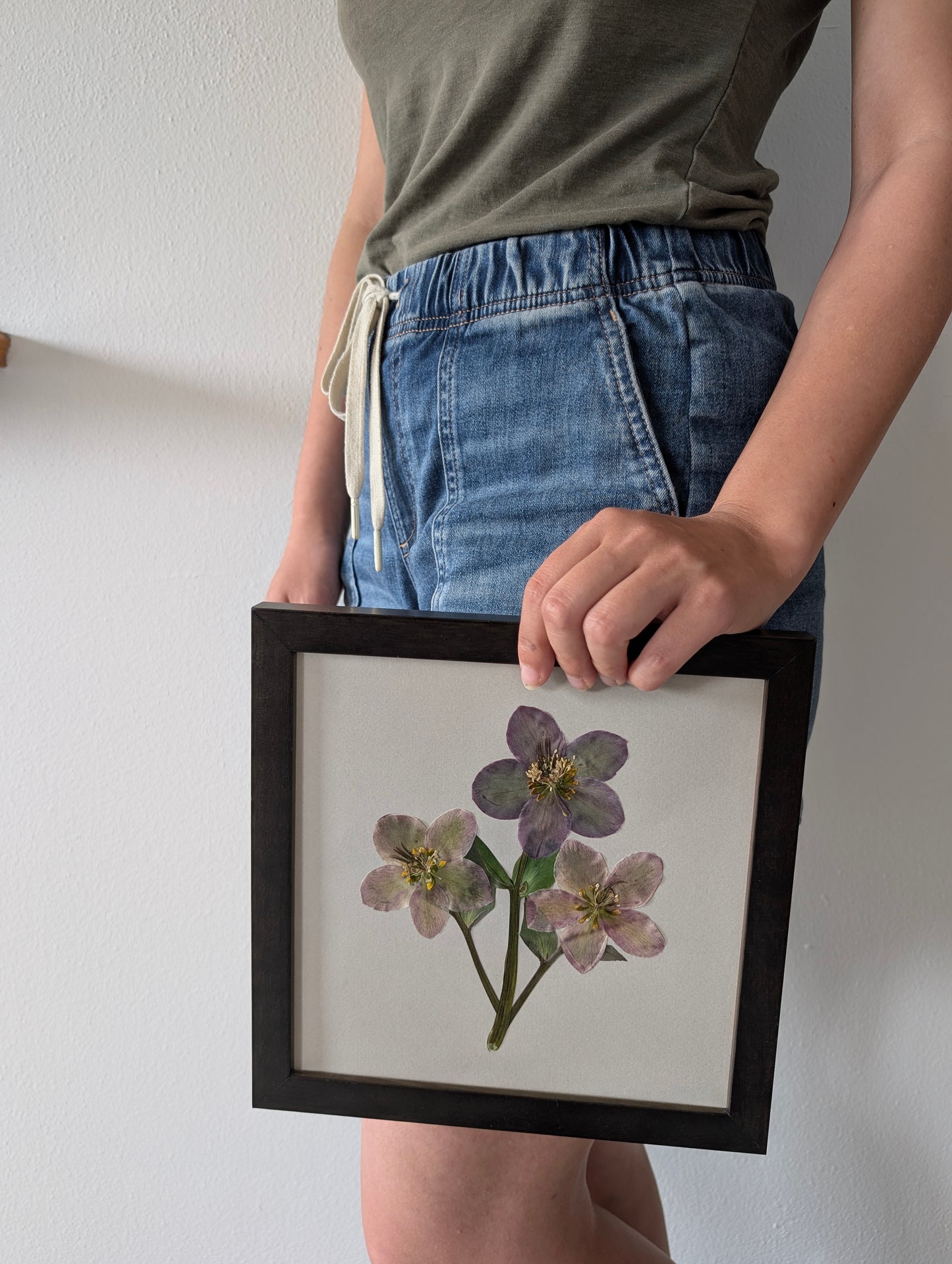 Hellebores