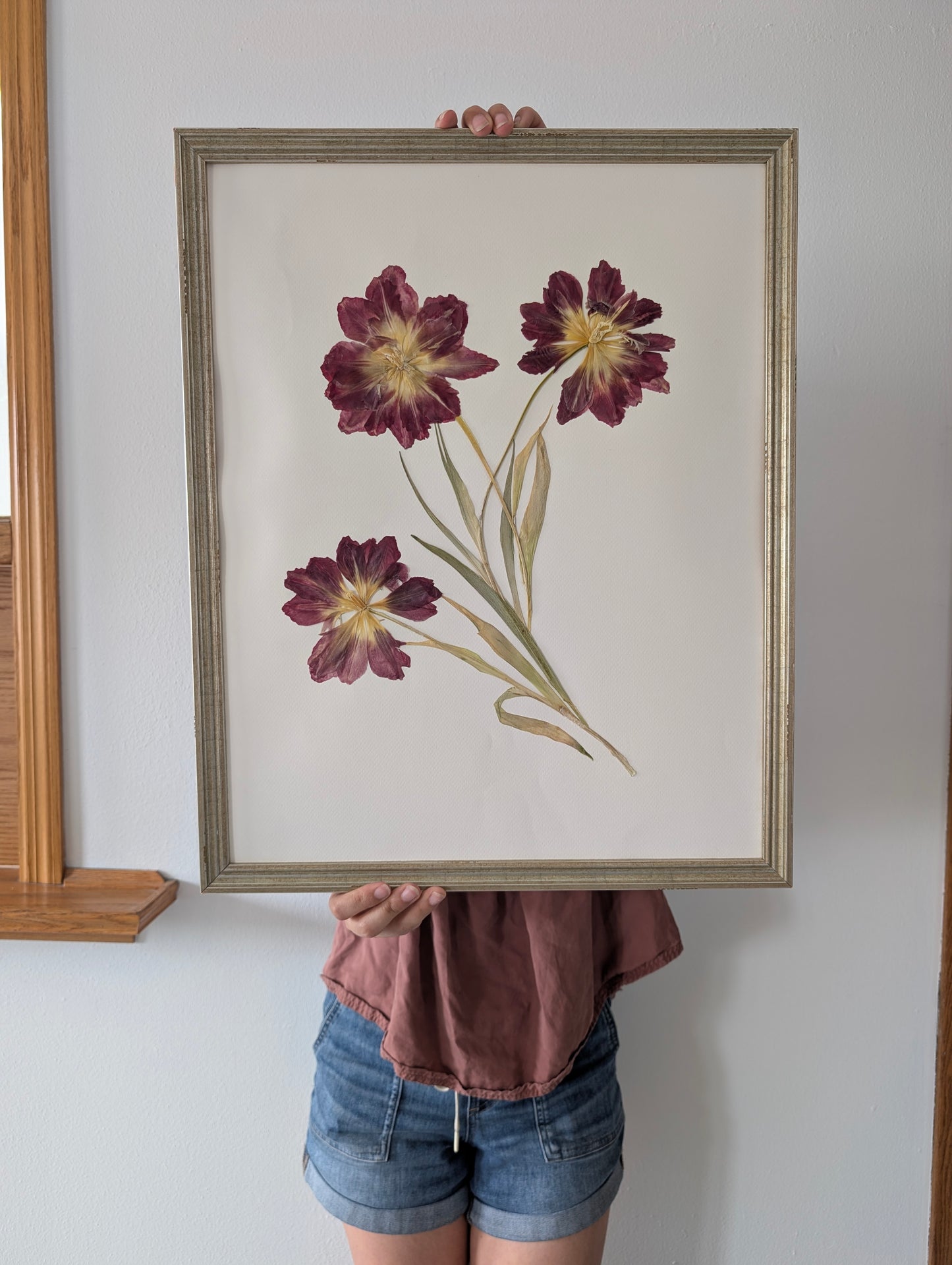Tulips