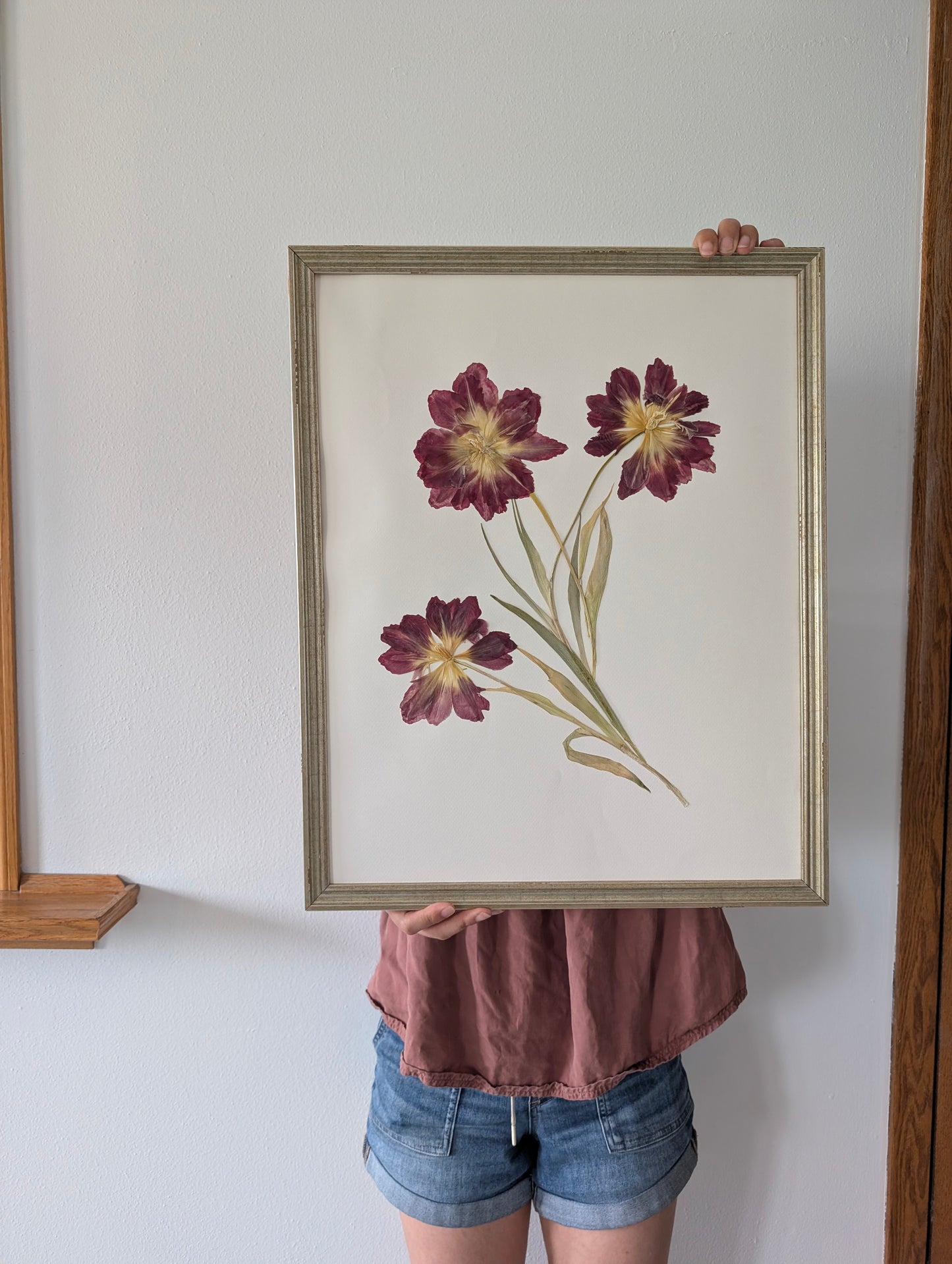 Tulips