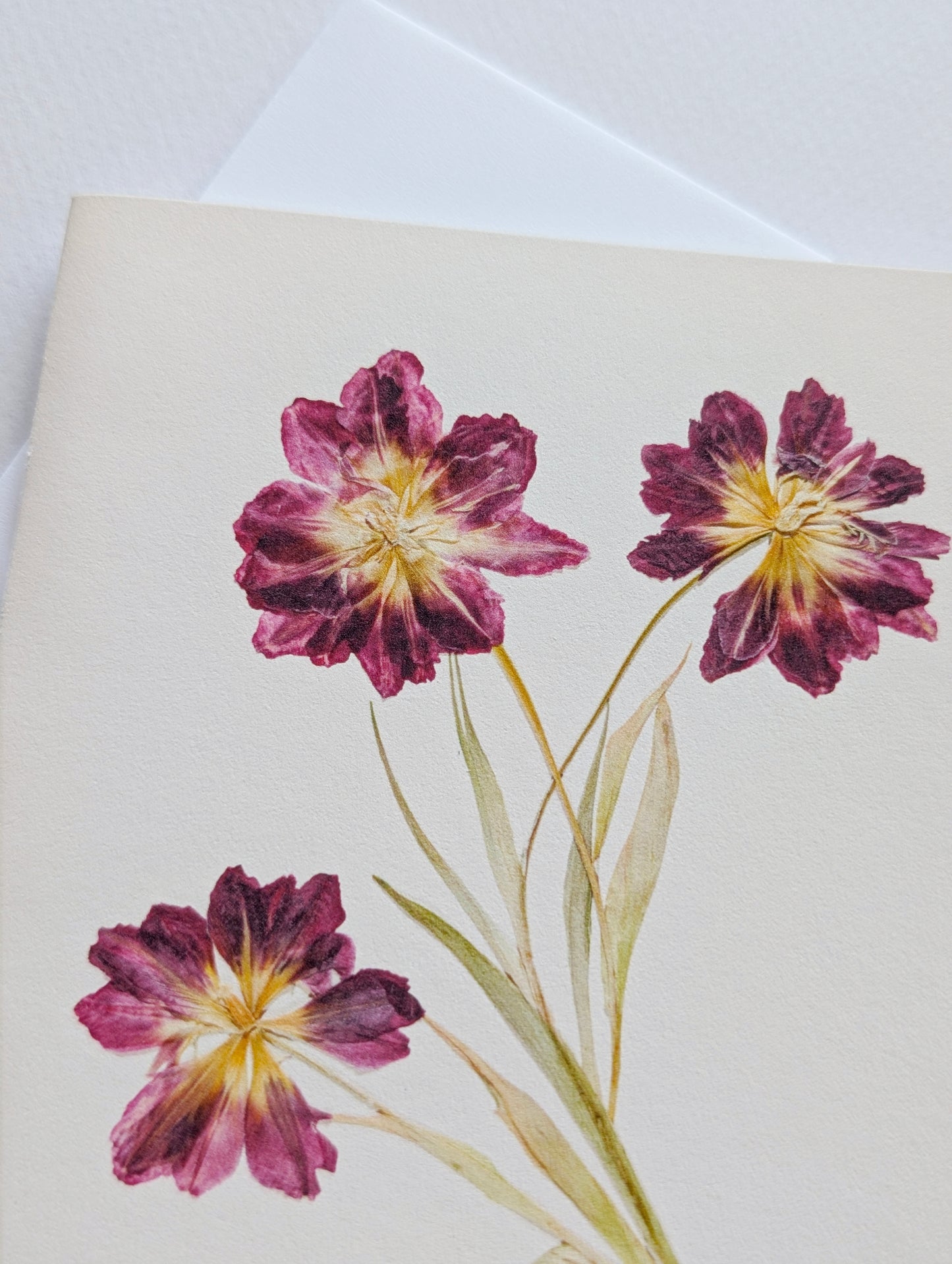 Tulips A2 Card