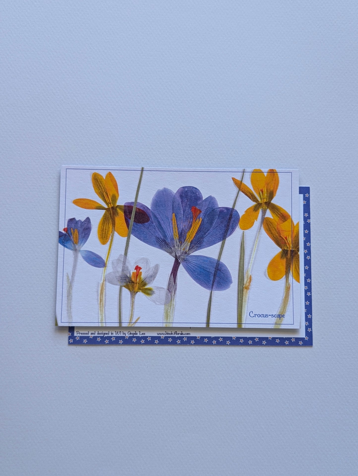 Herbarium Postcards