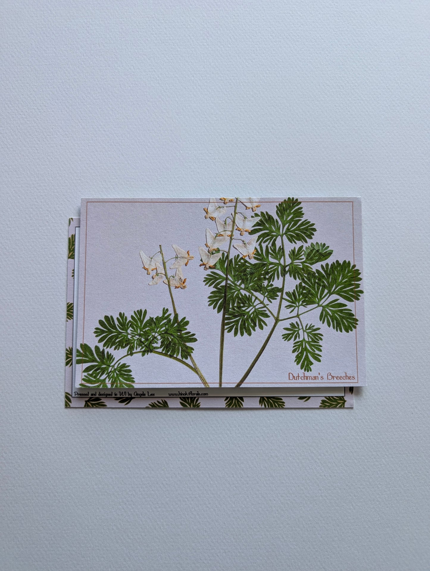 Herbarium Postcards