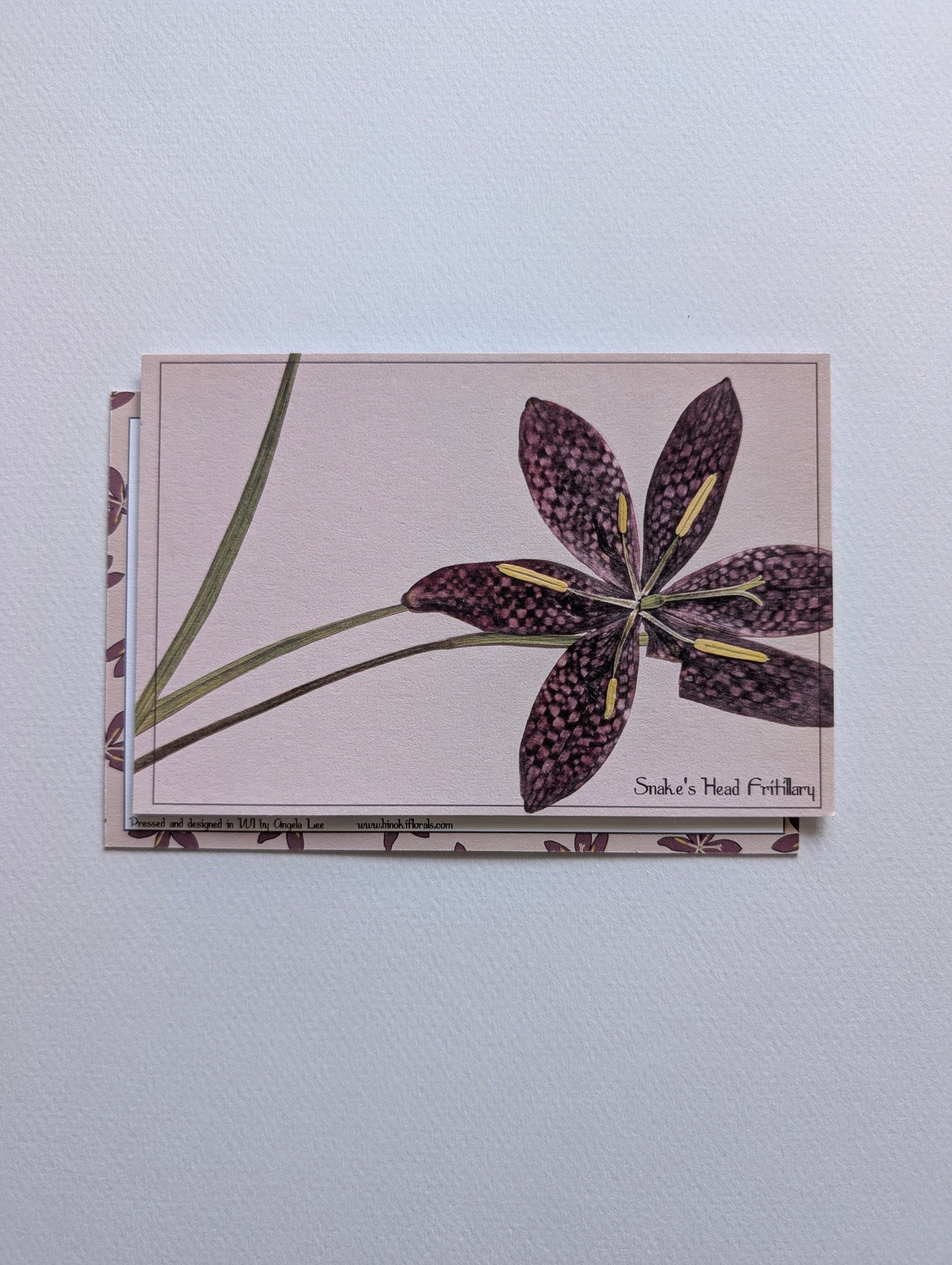 Herbarium Postcards
