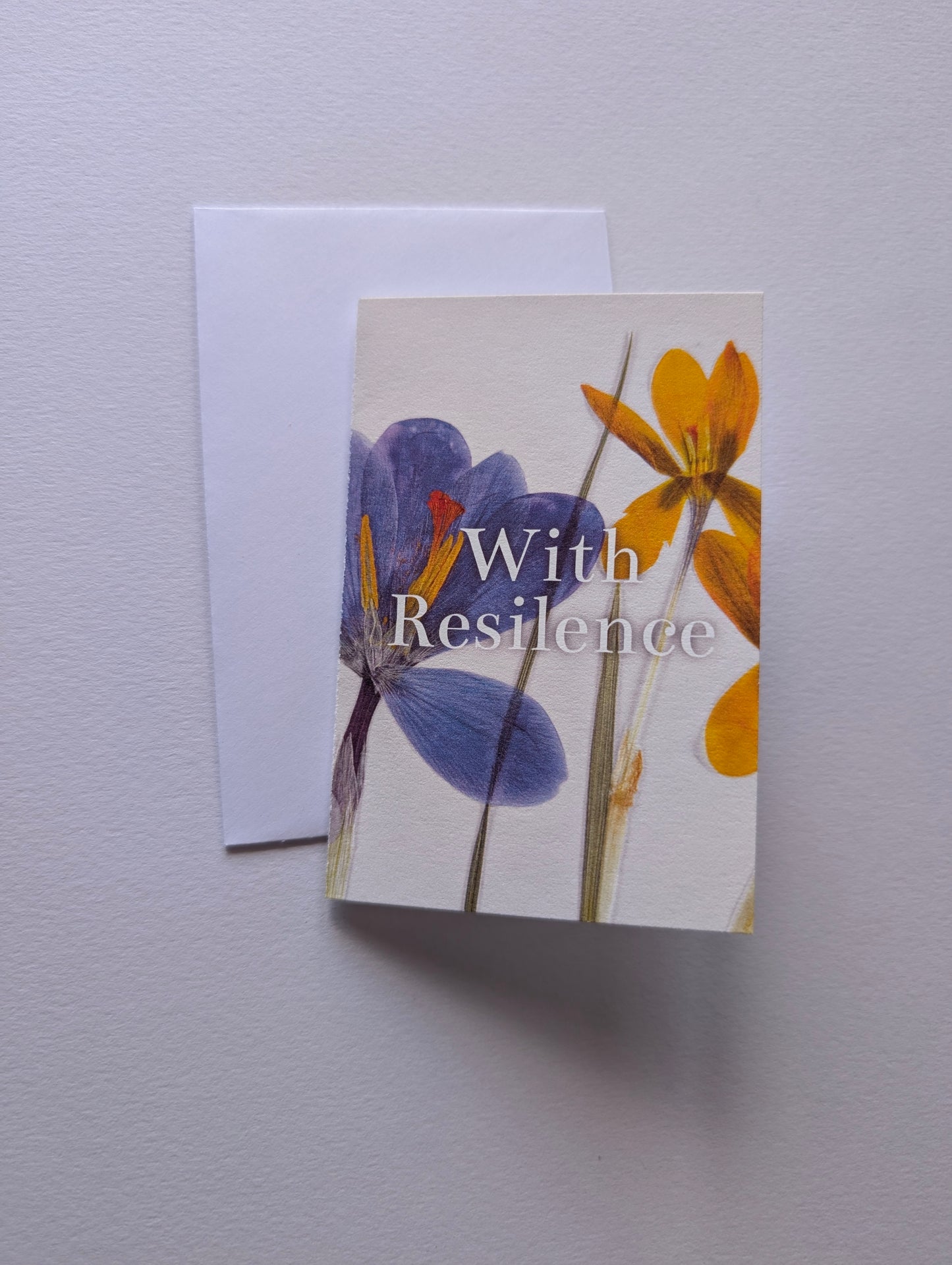 Mini Floral Symbolism Note Card Pack