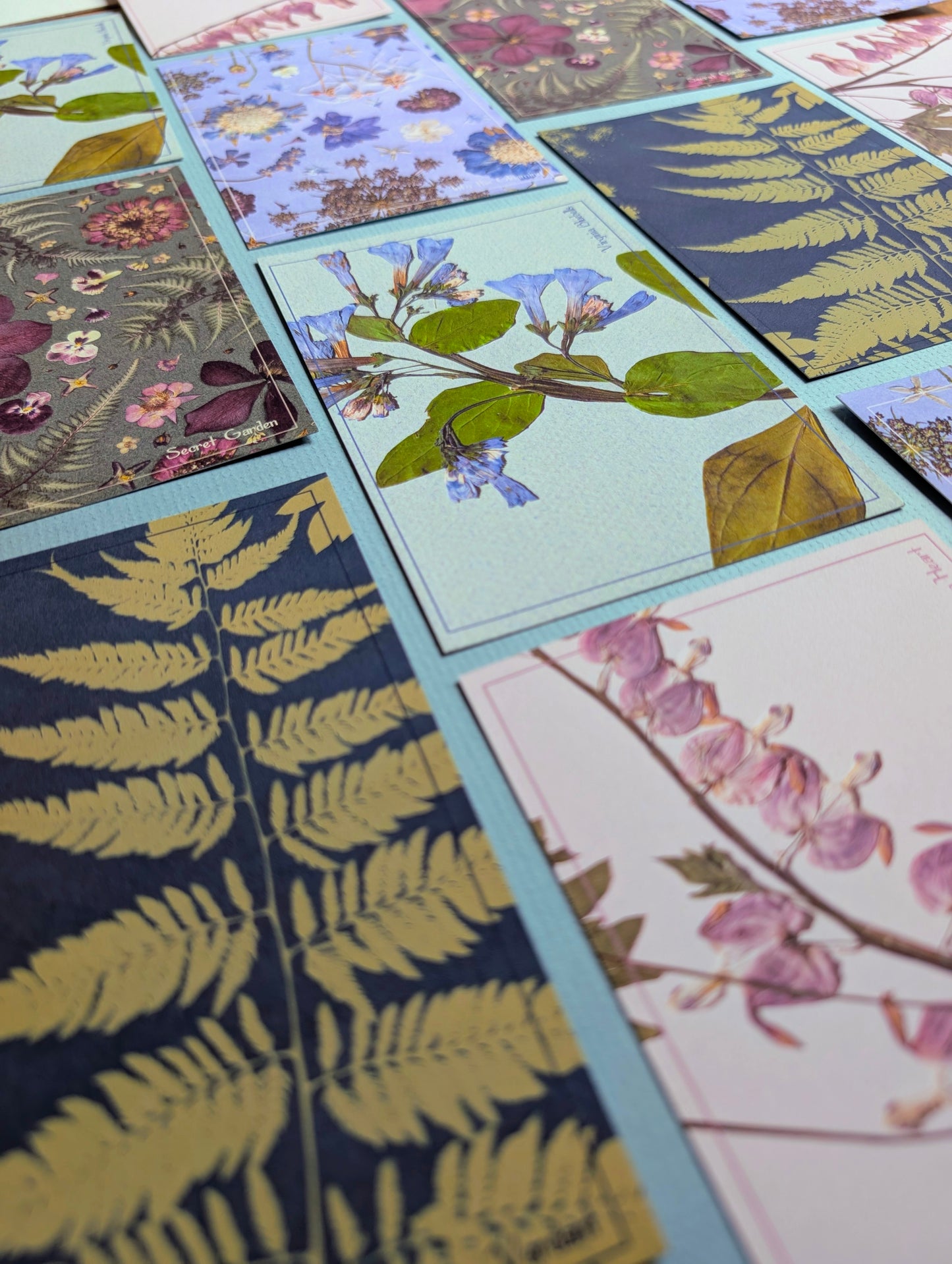 Herbarium Postcards
