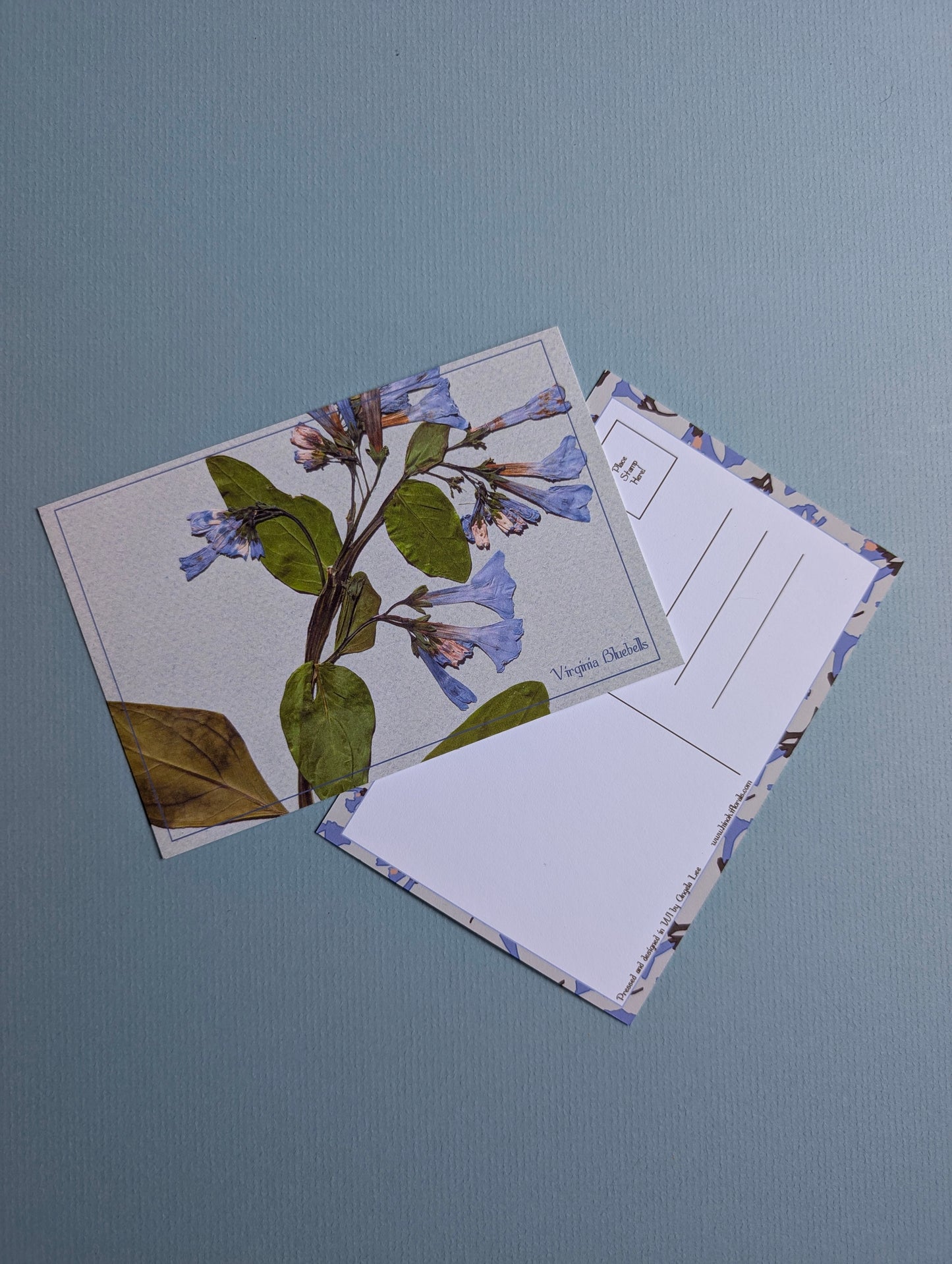 Herbarium Postcards