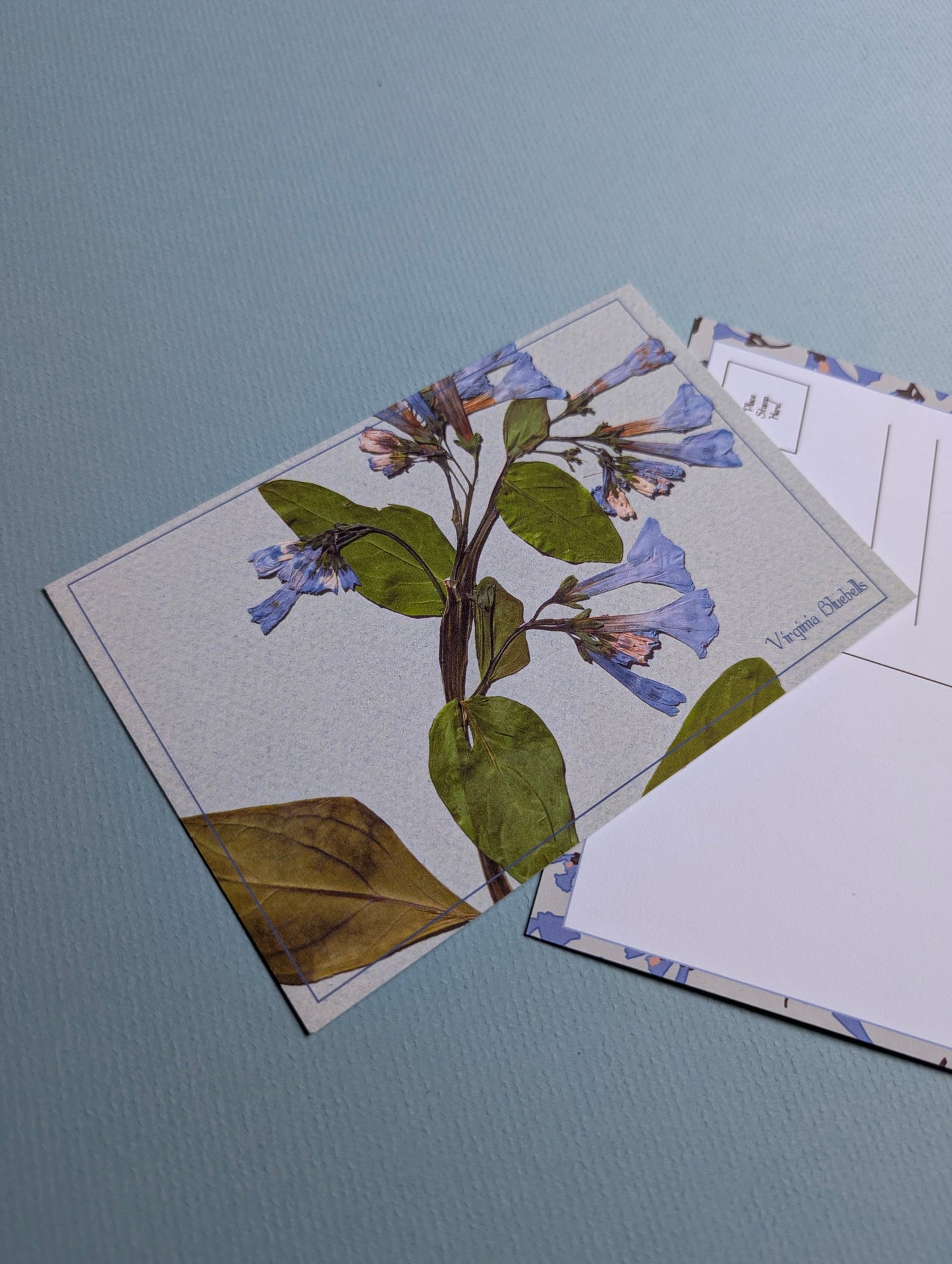 Herbarium Postcards
