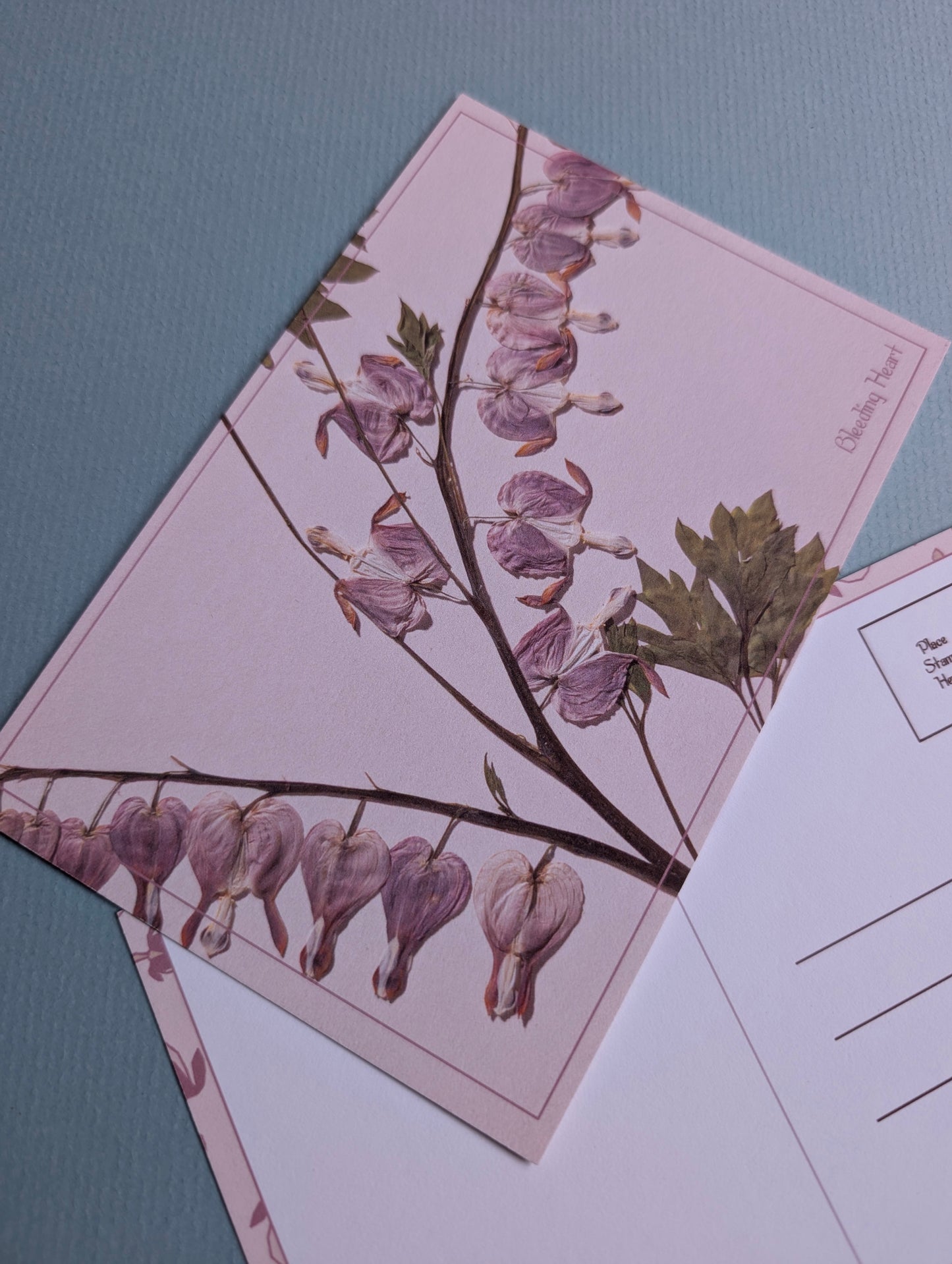 Herbarium Postcards