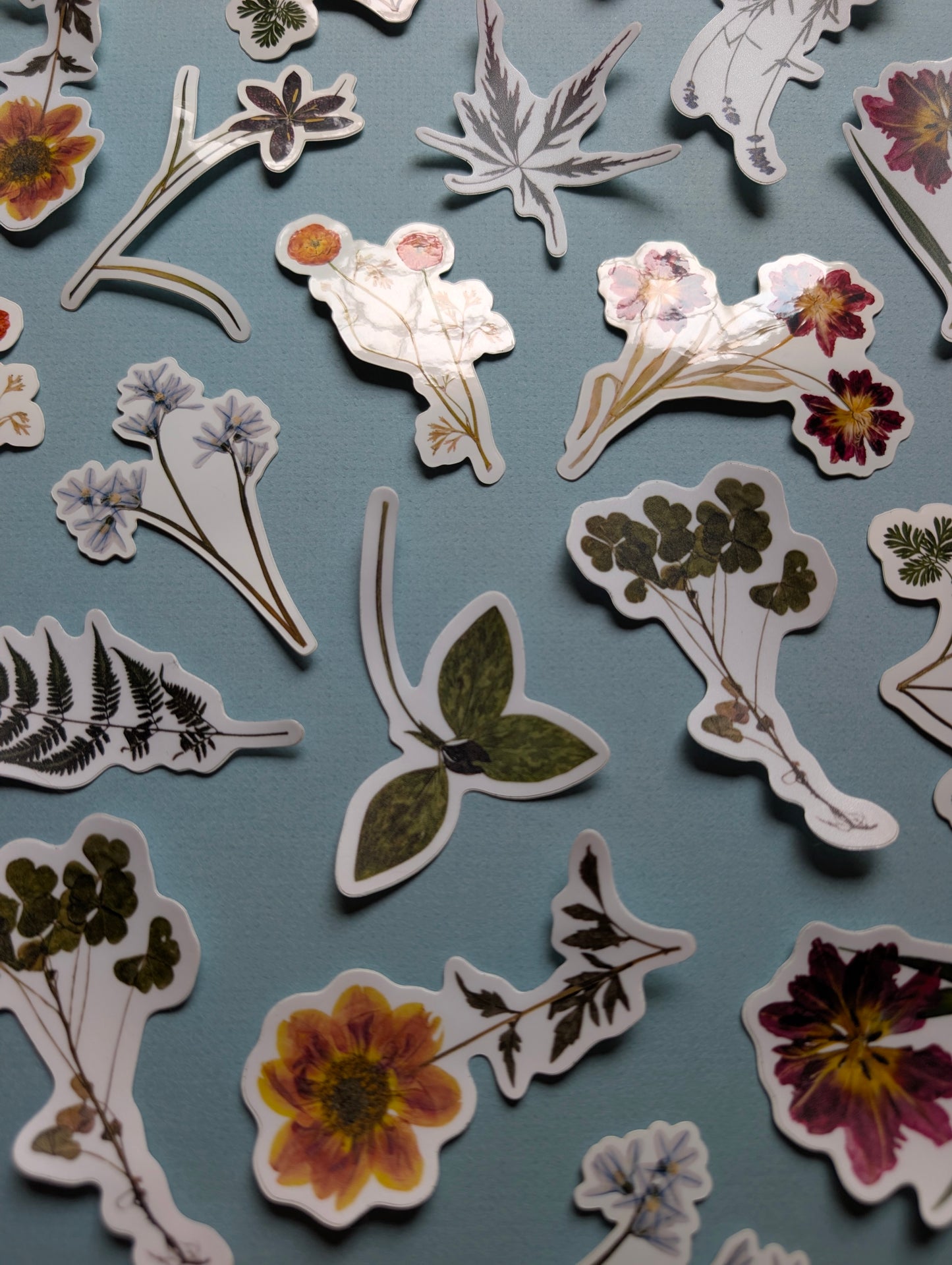 Pressed Flower Stickers