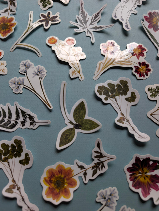 Pressed Flower Stickers