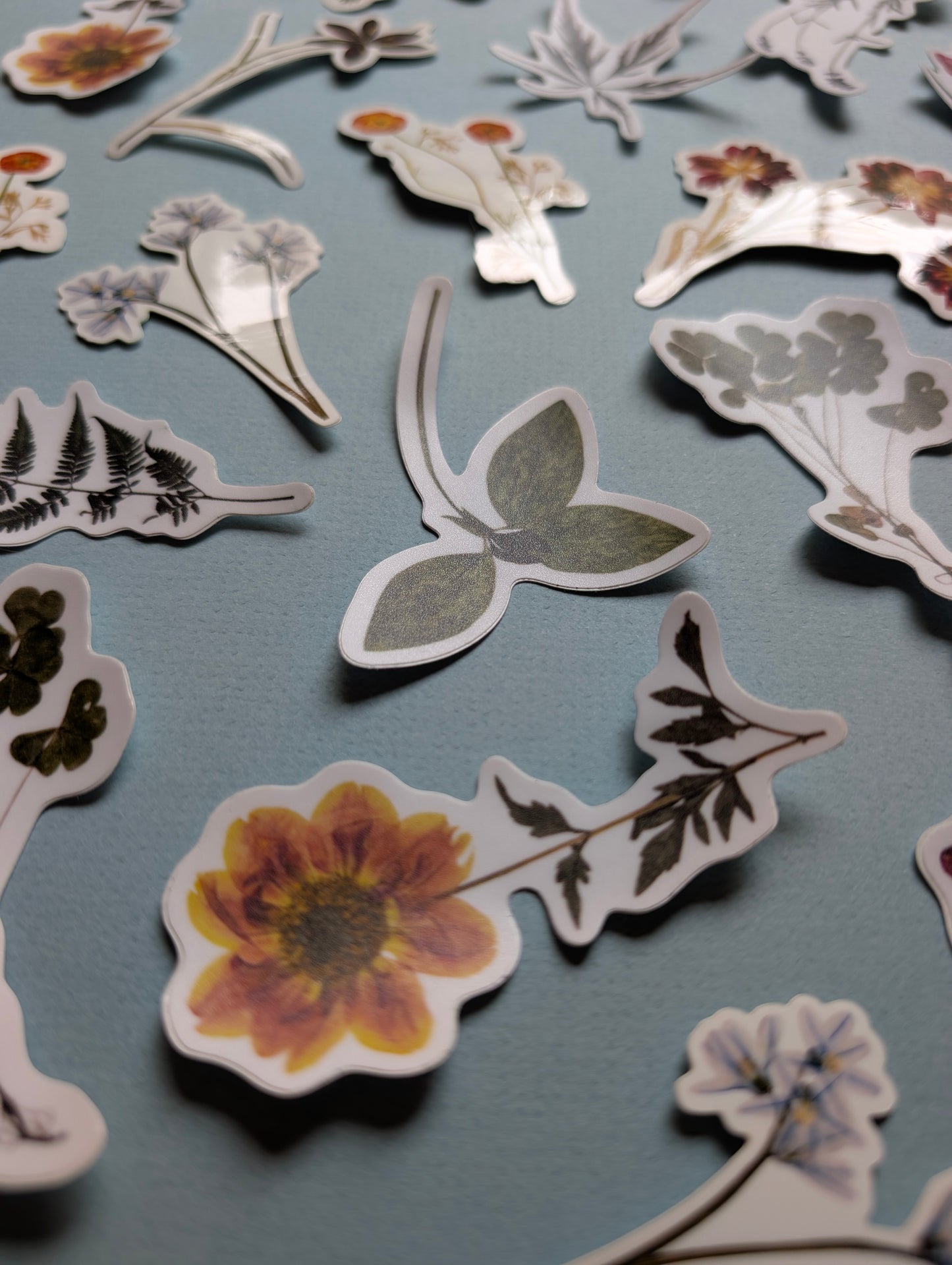 Pressed Flower Stickers