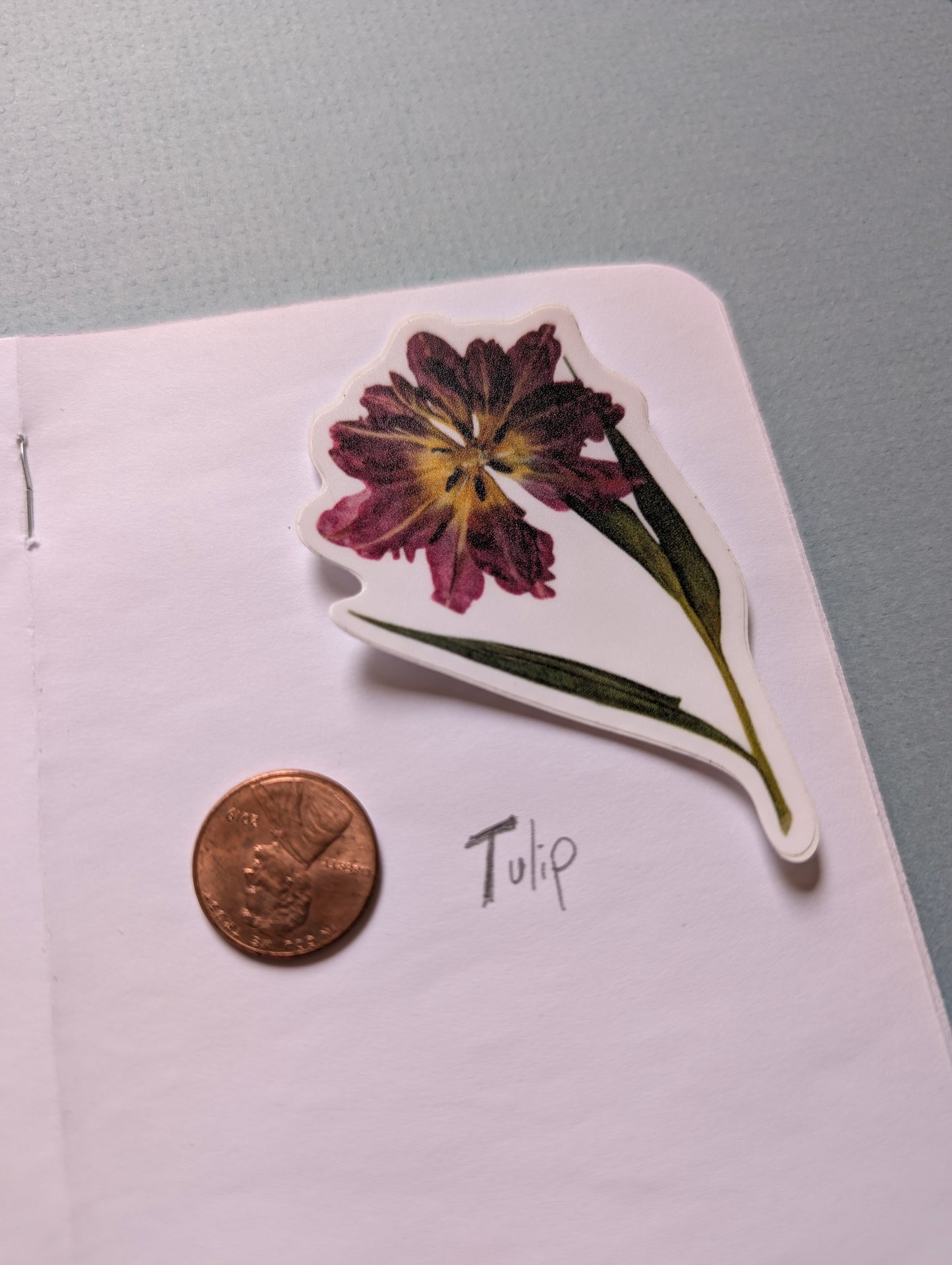 Pressed Flower Stickers