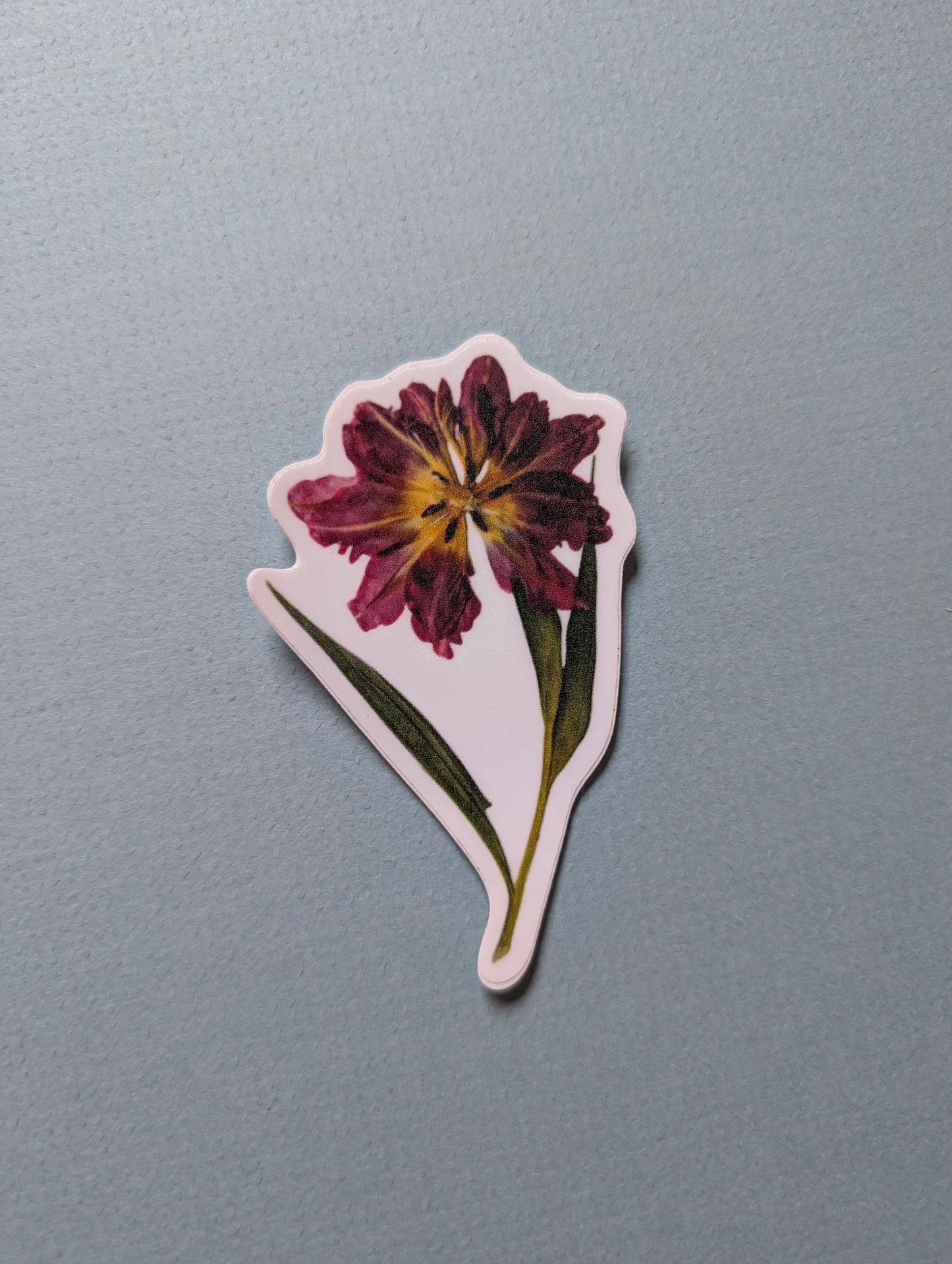 Pressed Flower Stickers