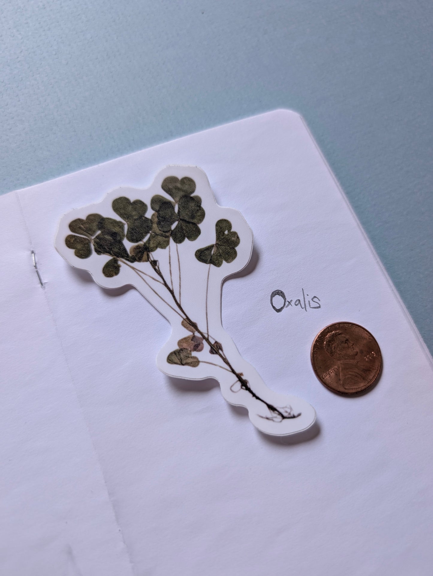 Pressed Flower Stickers
