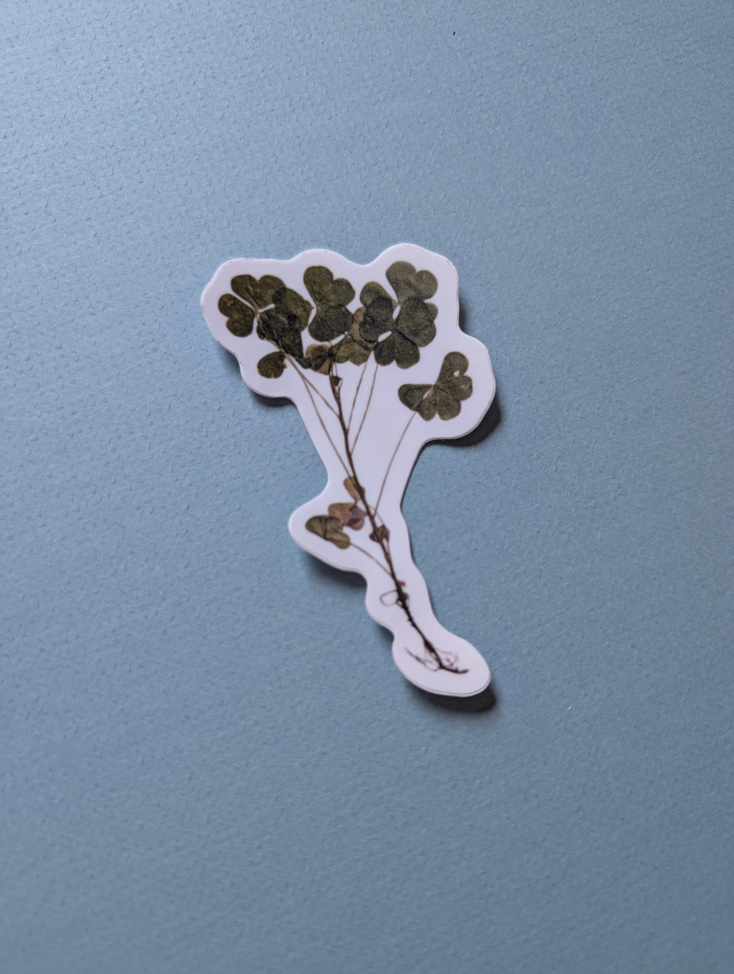 Pressed Flower Stickers