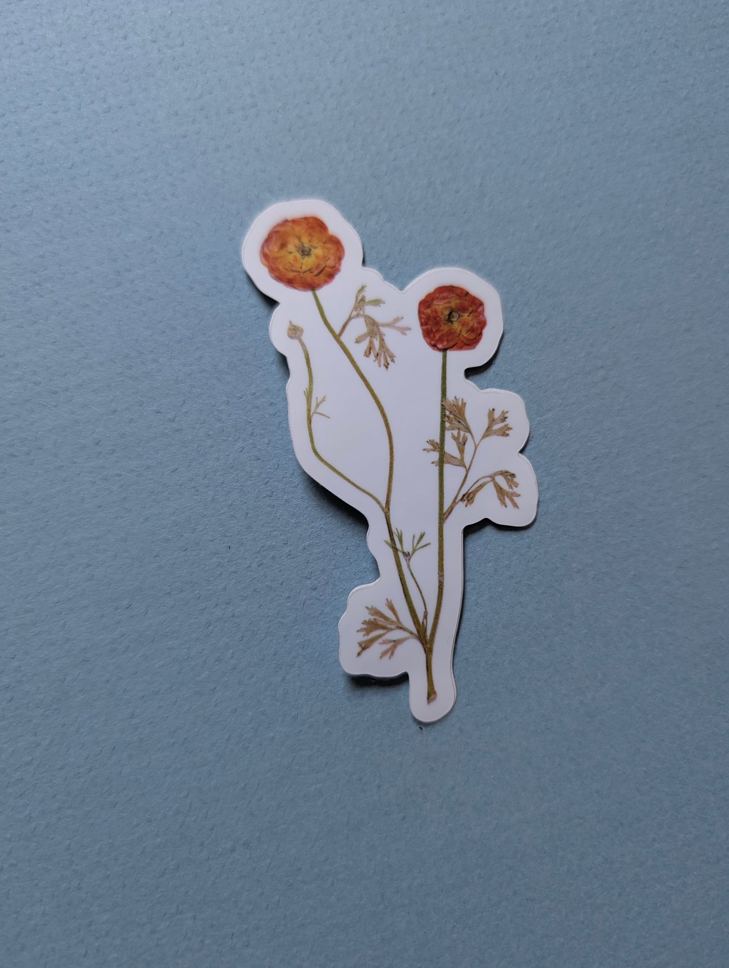 Pressed Flower Stickers