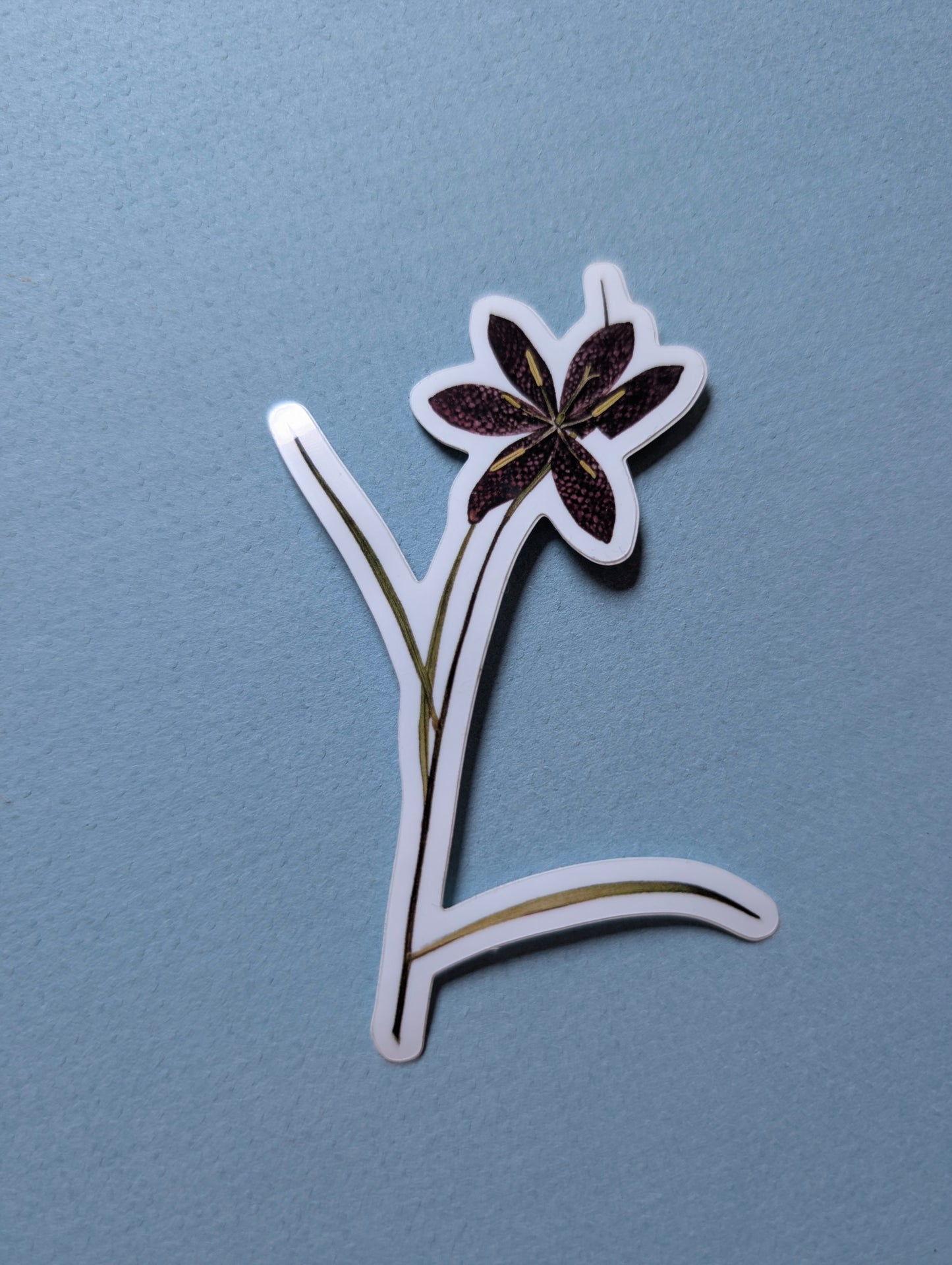 Pressed Flower Stickers