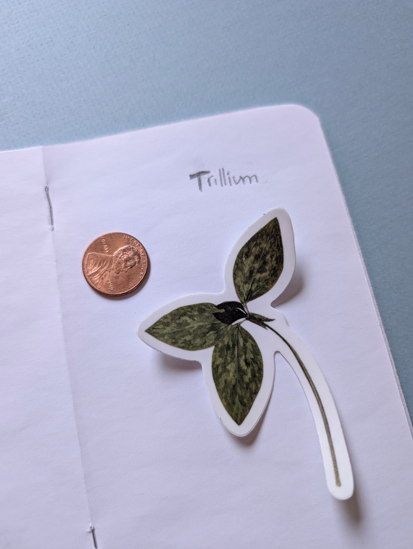 Pressed Flower Stickers