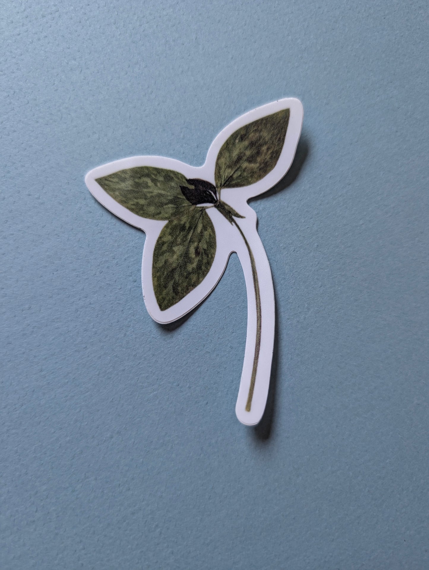Pressed Flower Stickers