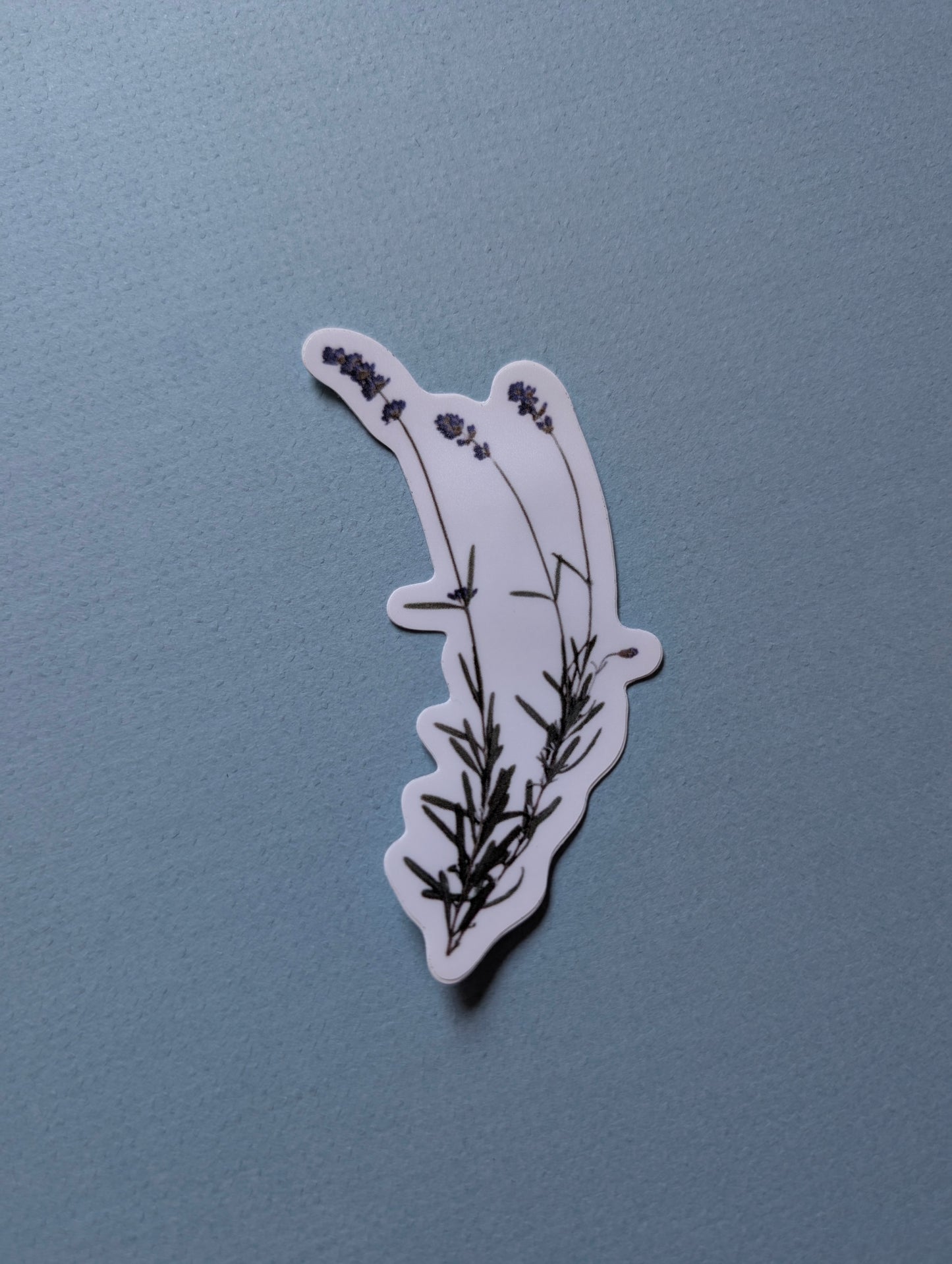Pressed Flower Stickers