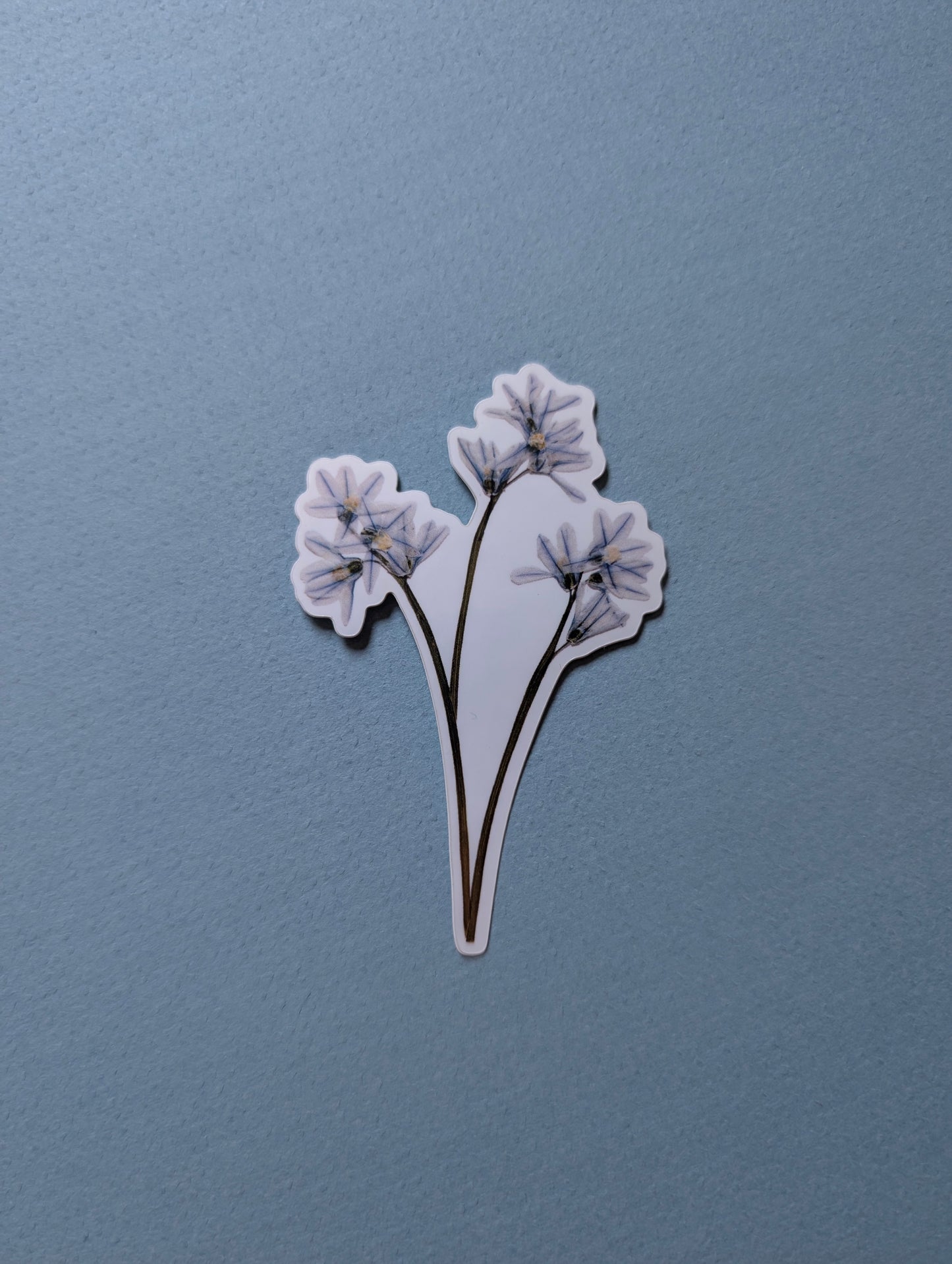 Pressed Flower Stickers