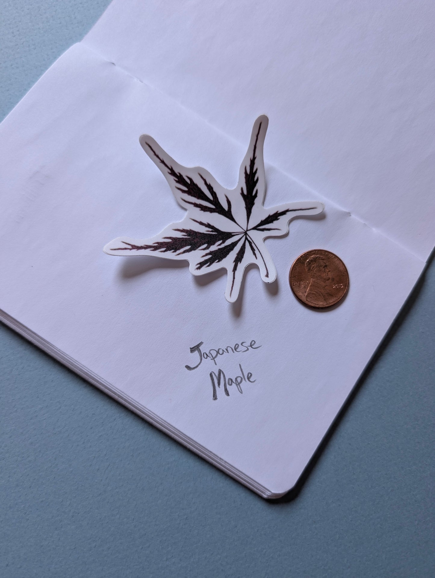 Pressed Flower Stickers