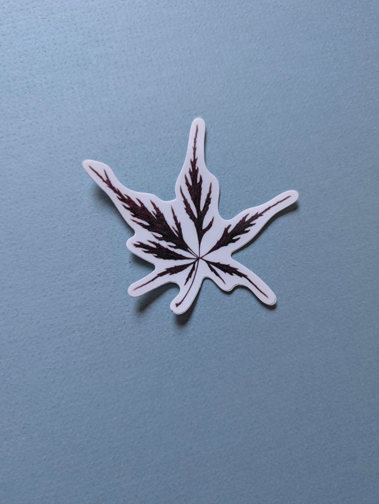 Pressed Flower Stickers