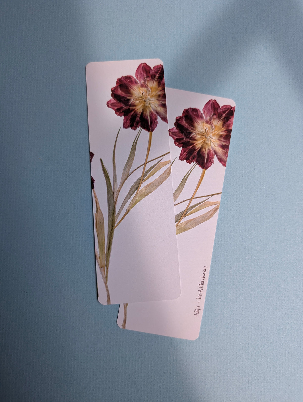 Warm Colors Floral Bookmarks