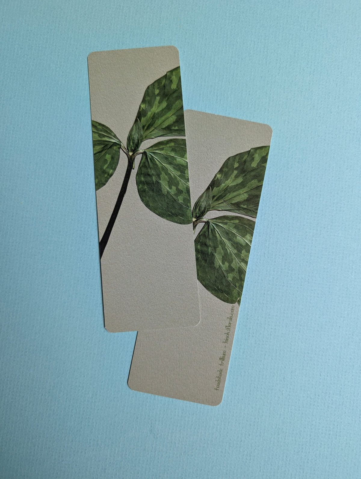 Cool Colors Floral Bookmarks