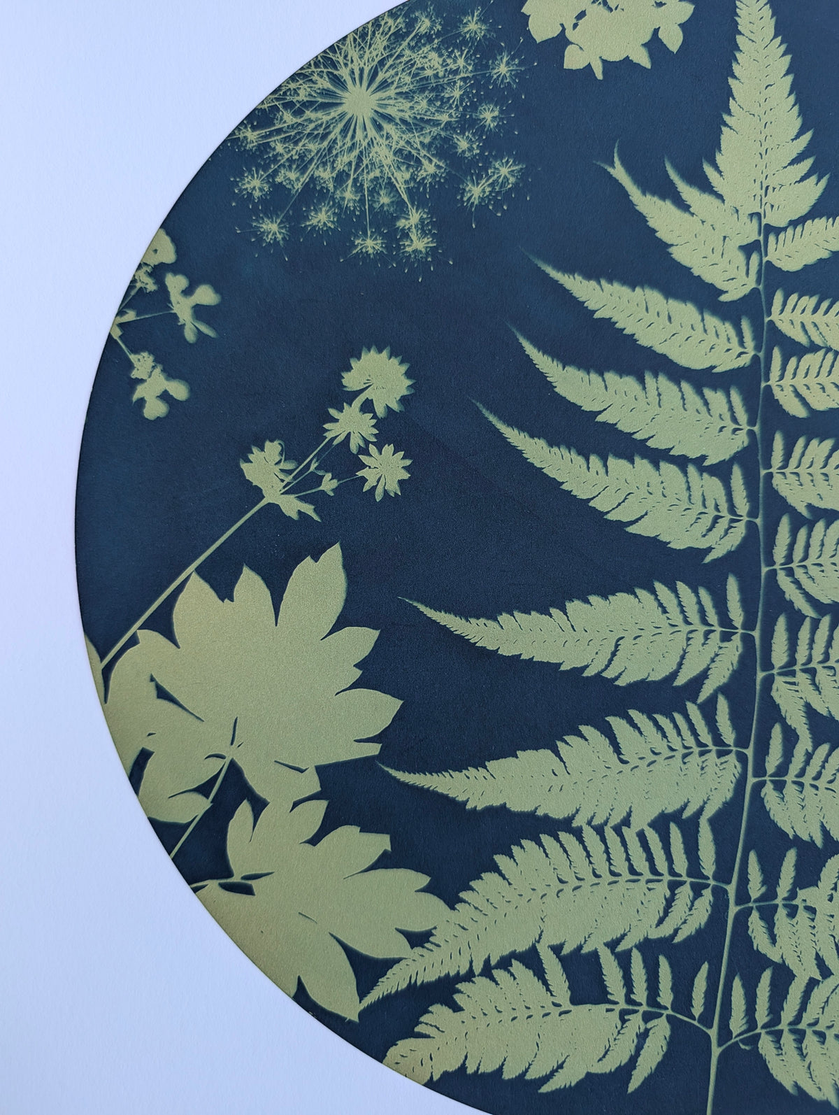 Verdant Giclee Print