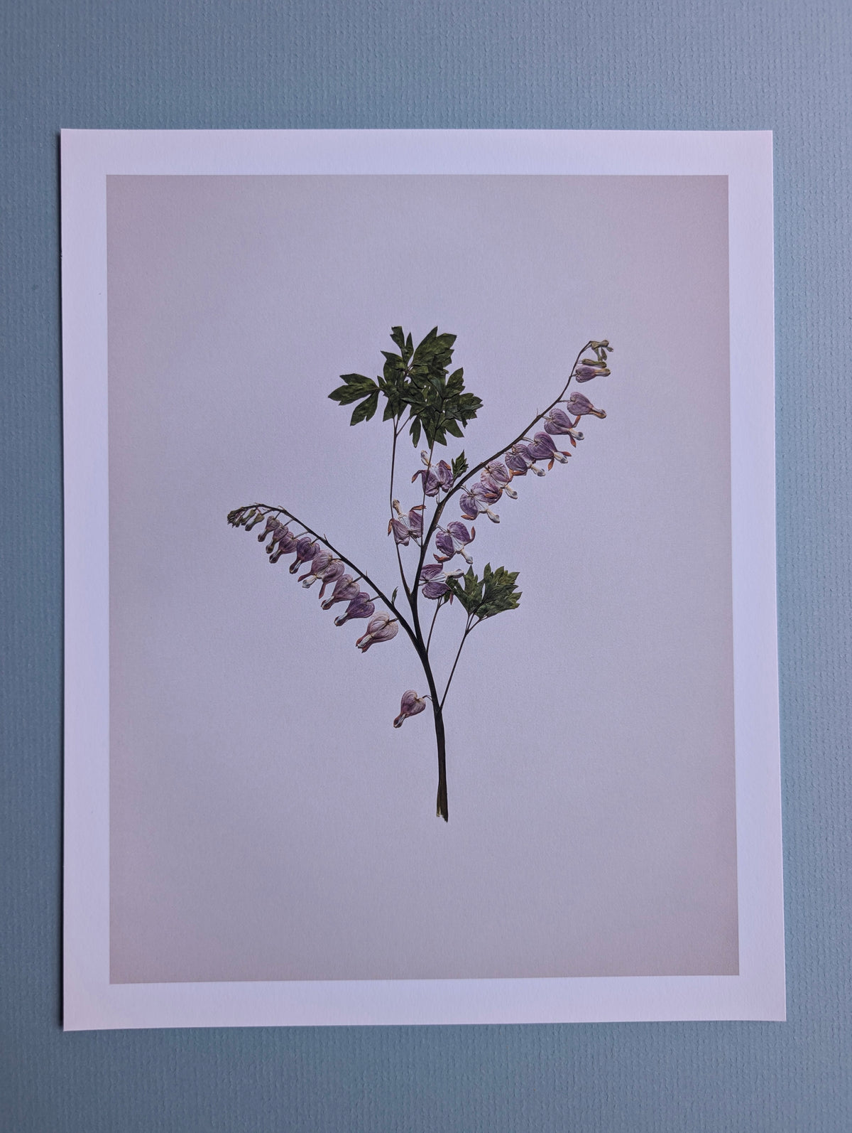 Bleeding Hearts Art Print