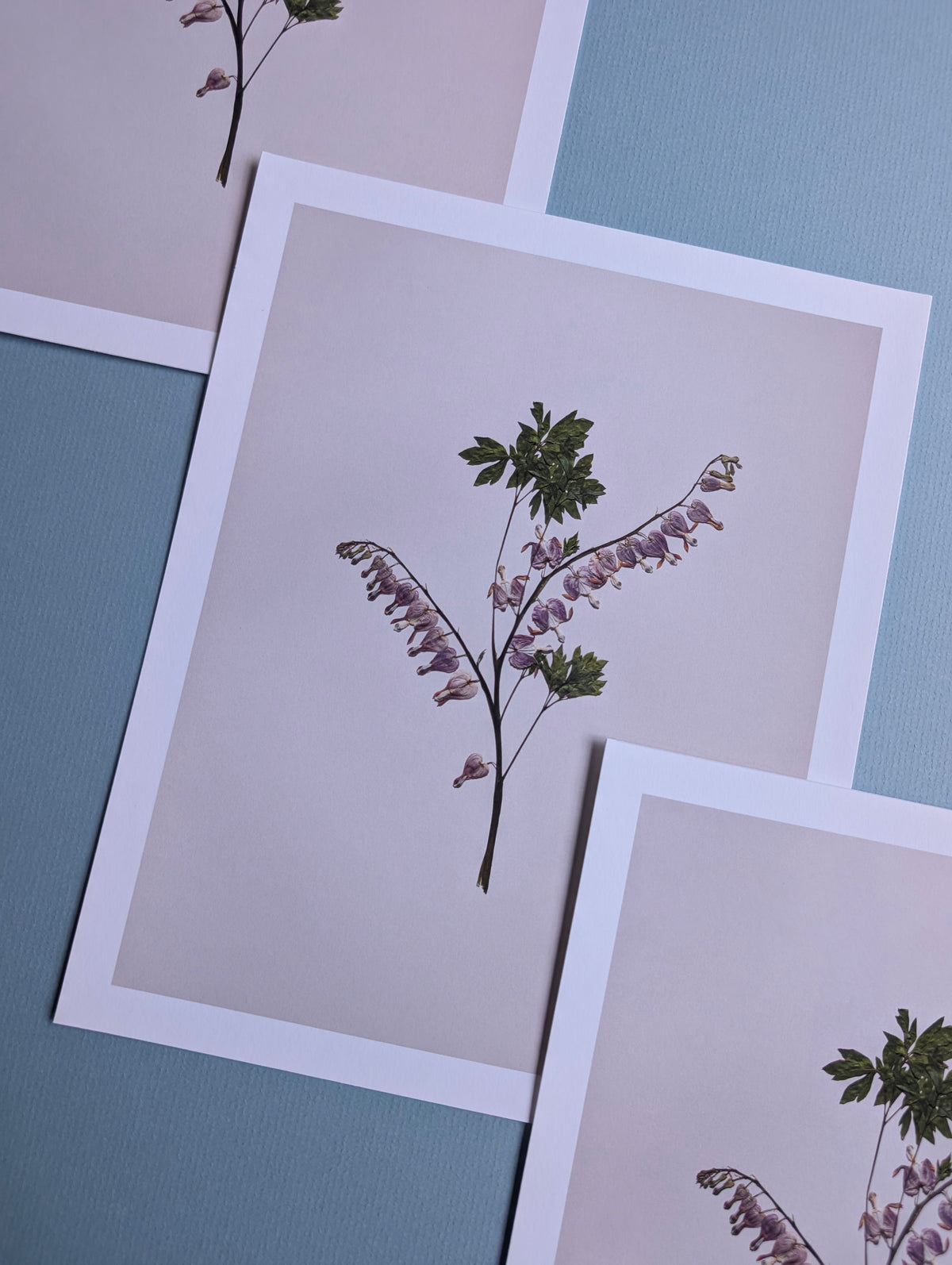 Bleeding Hearts Art Print