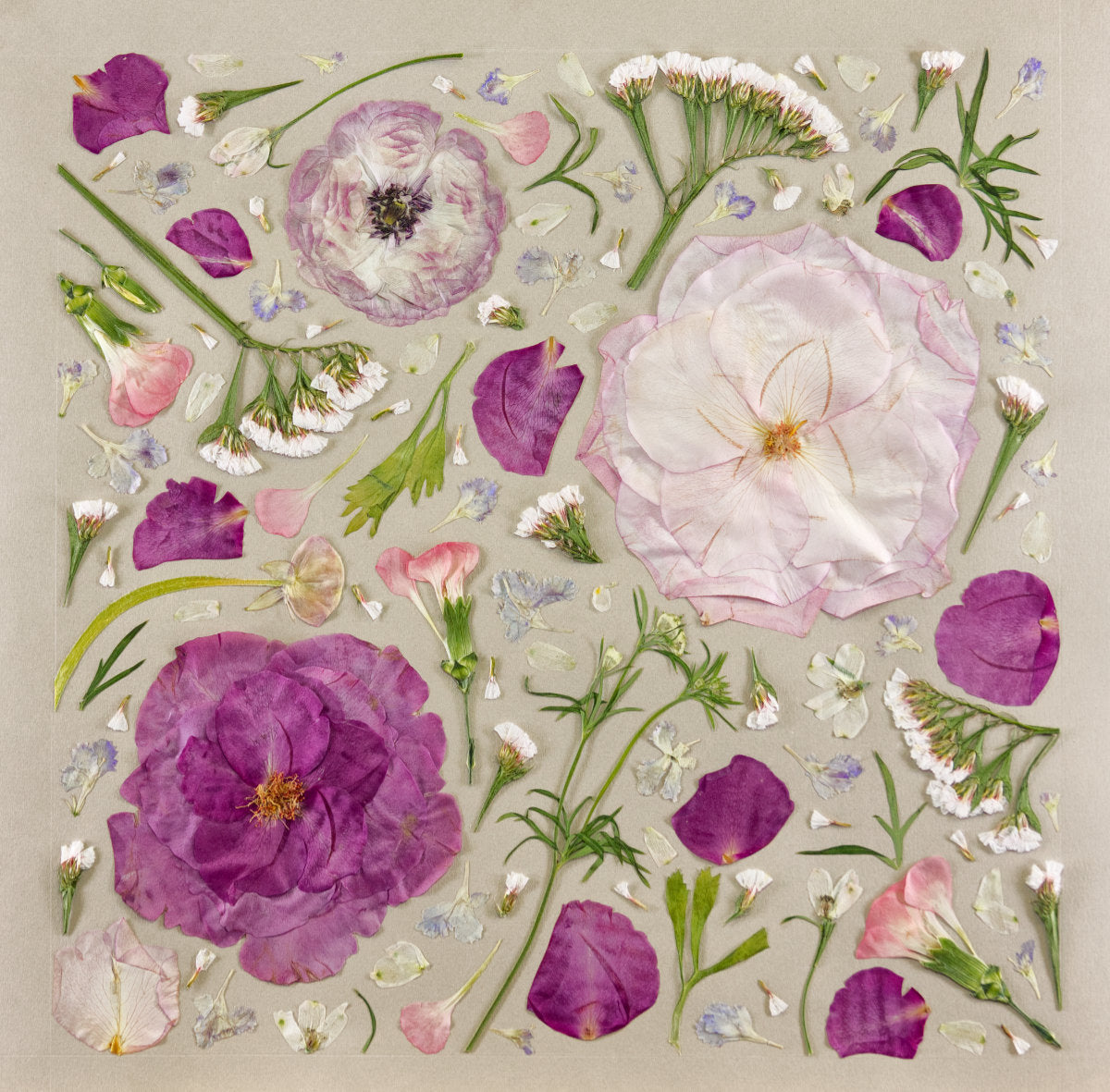 Tempus Fuschia Art Print