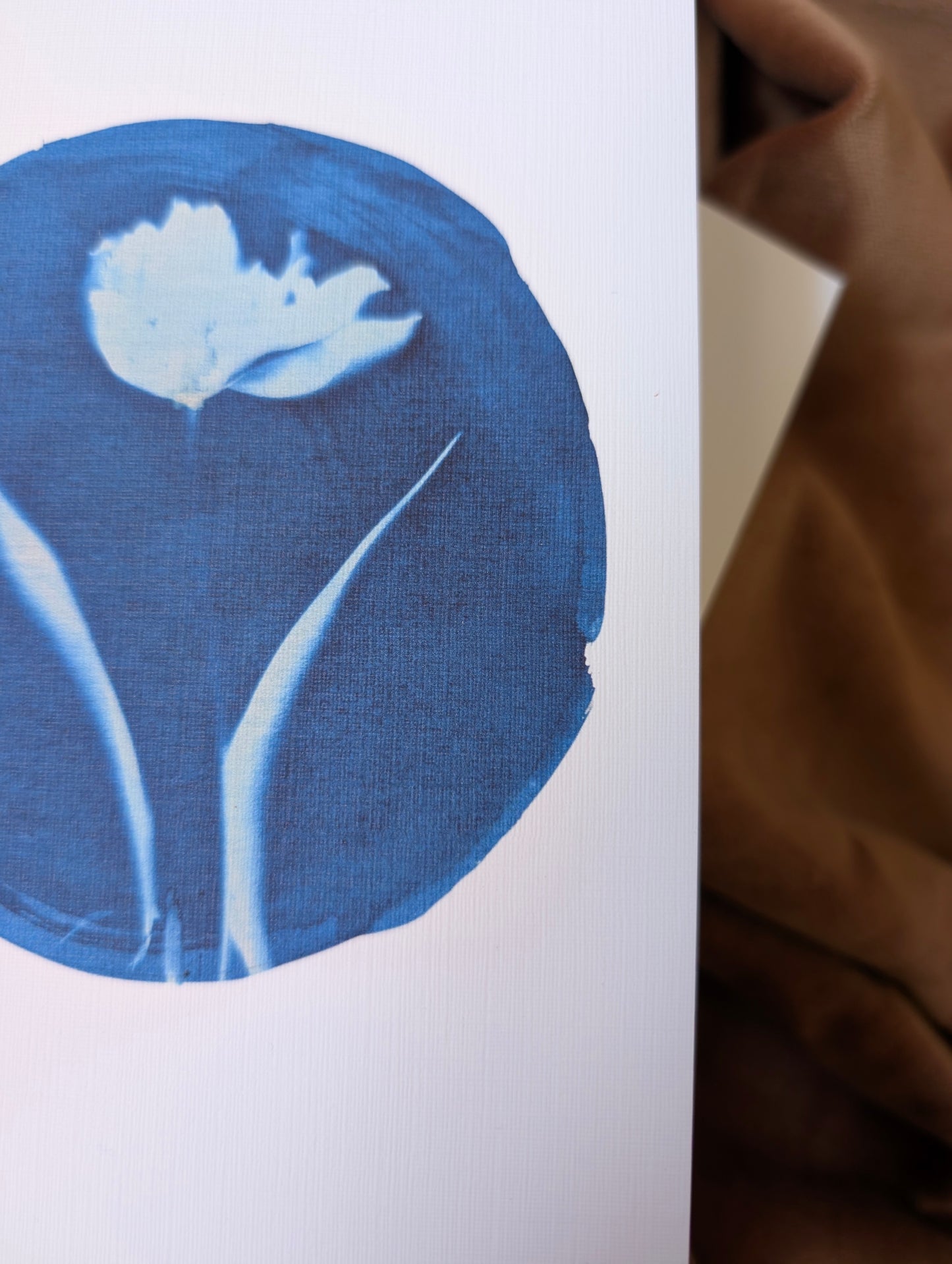 Tulip Cyanotype Printed Card