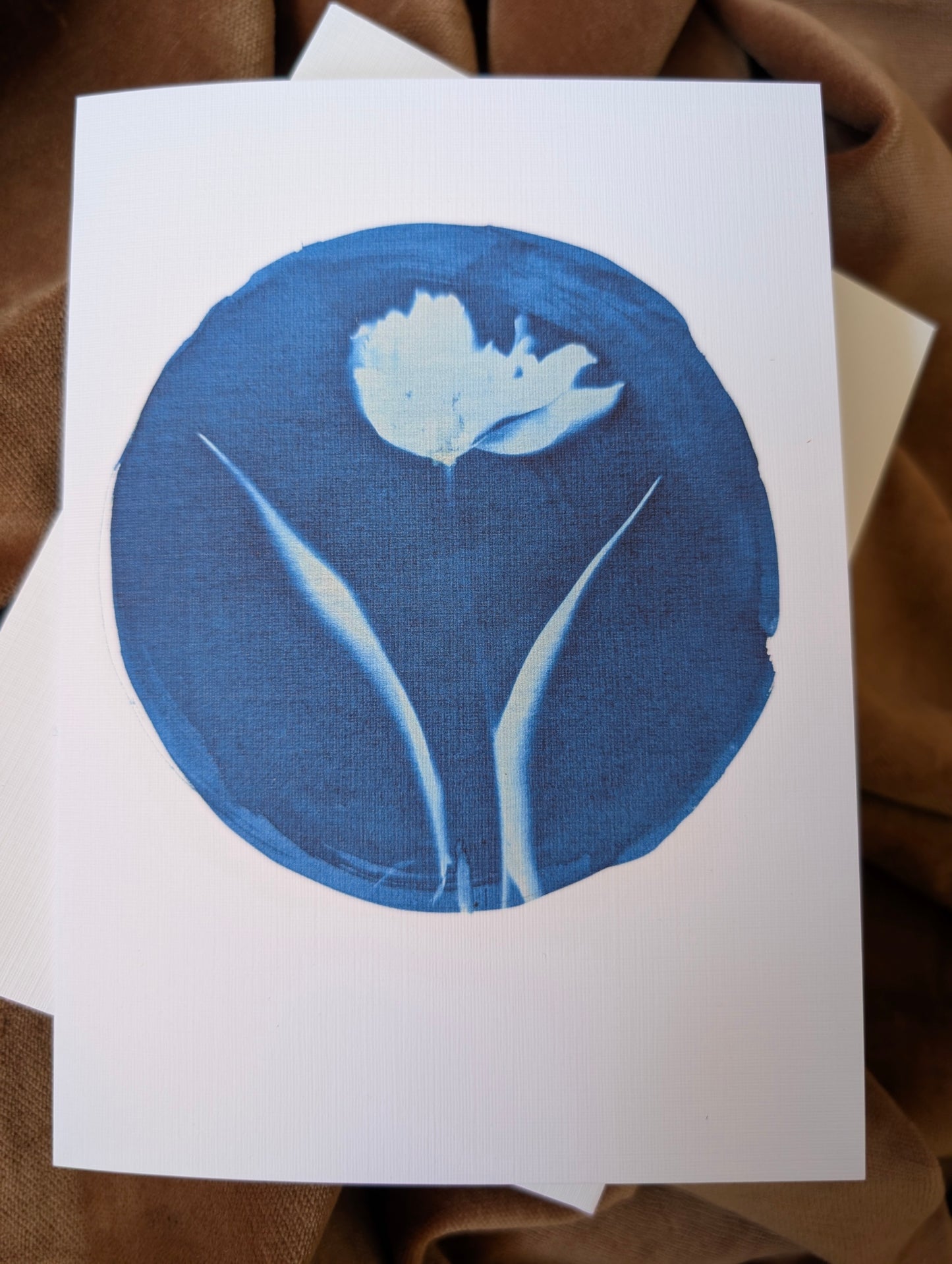 Tulip Cyanotype Printed Card