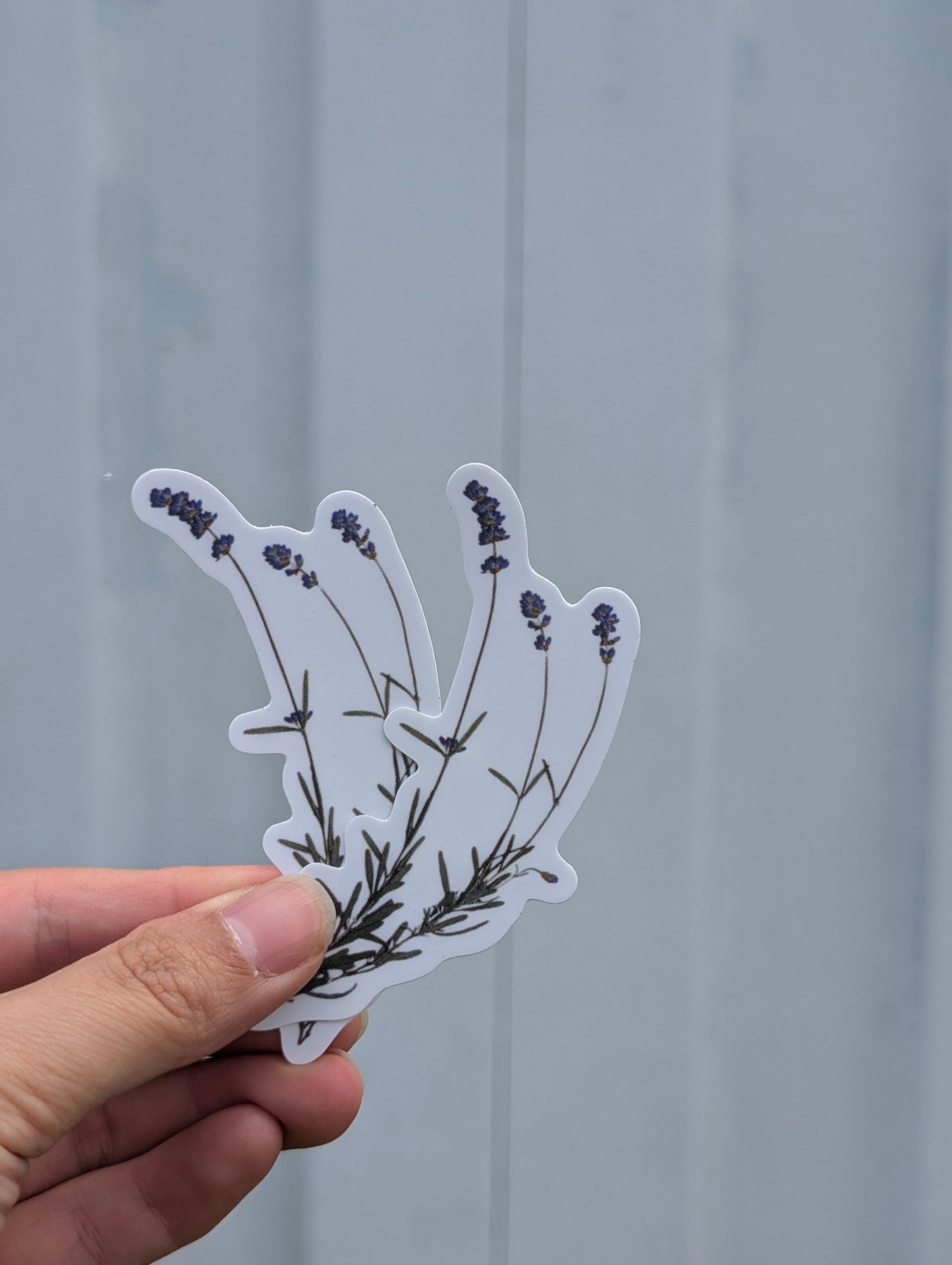 Botanical Specimen Stickers